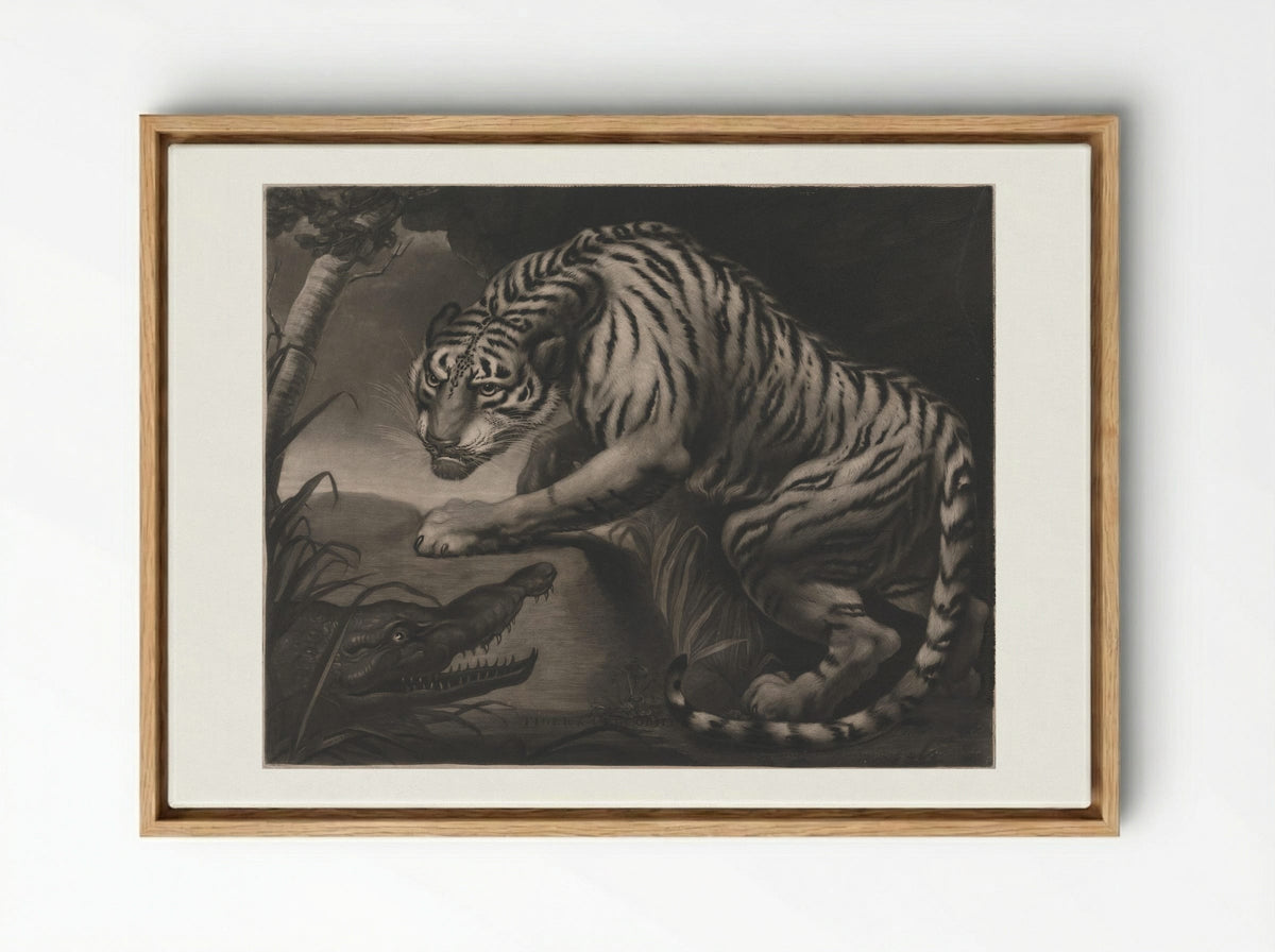 Tiger & Crocodile - Charles Turner - Framed Canvas Wood