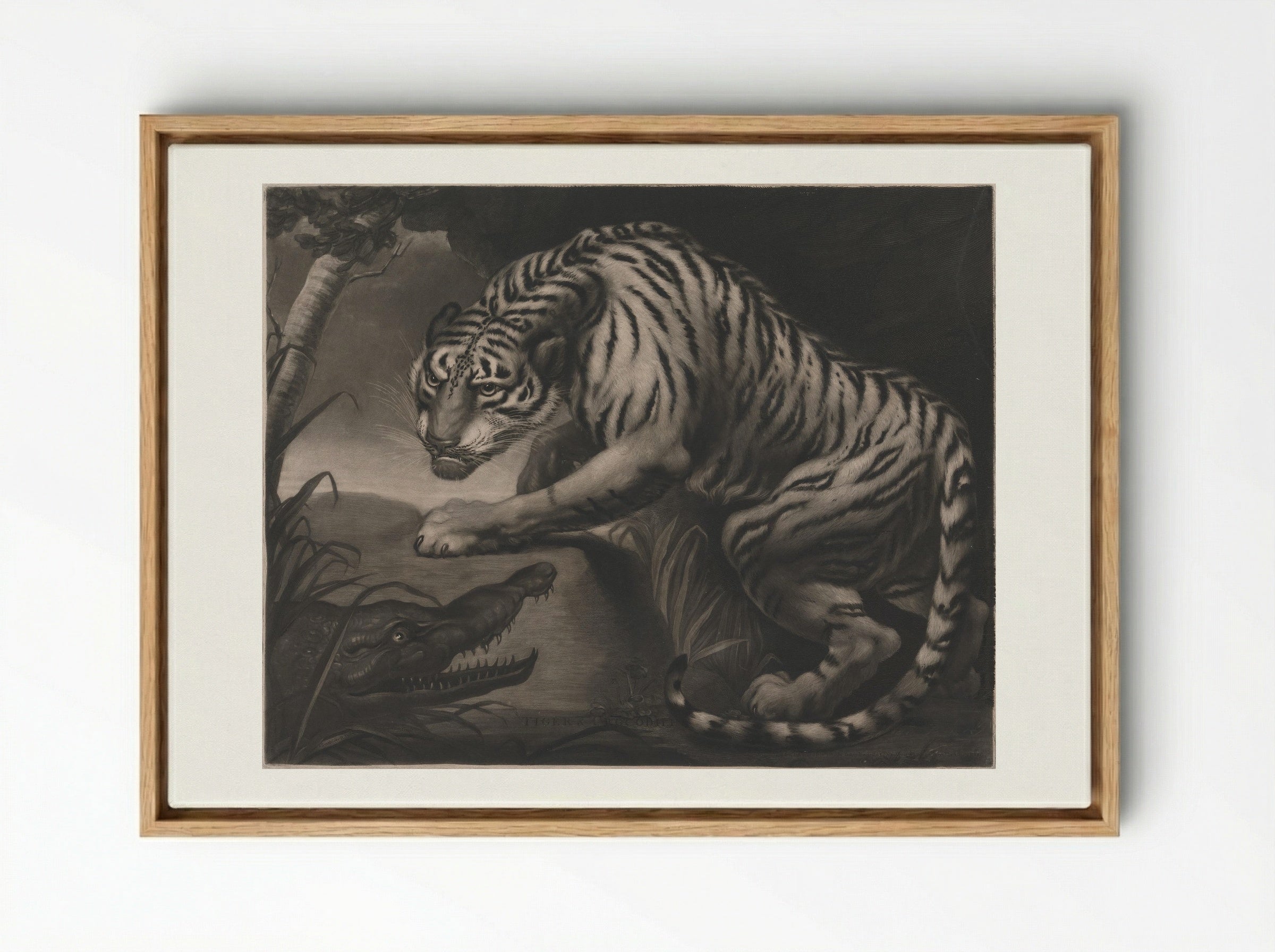 Tiger & Crocodile - Charles Turner - Framed Canvas Wood
