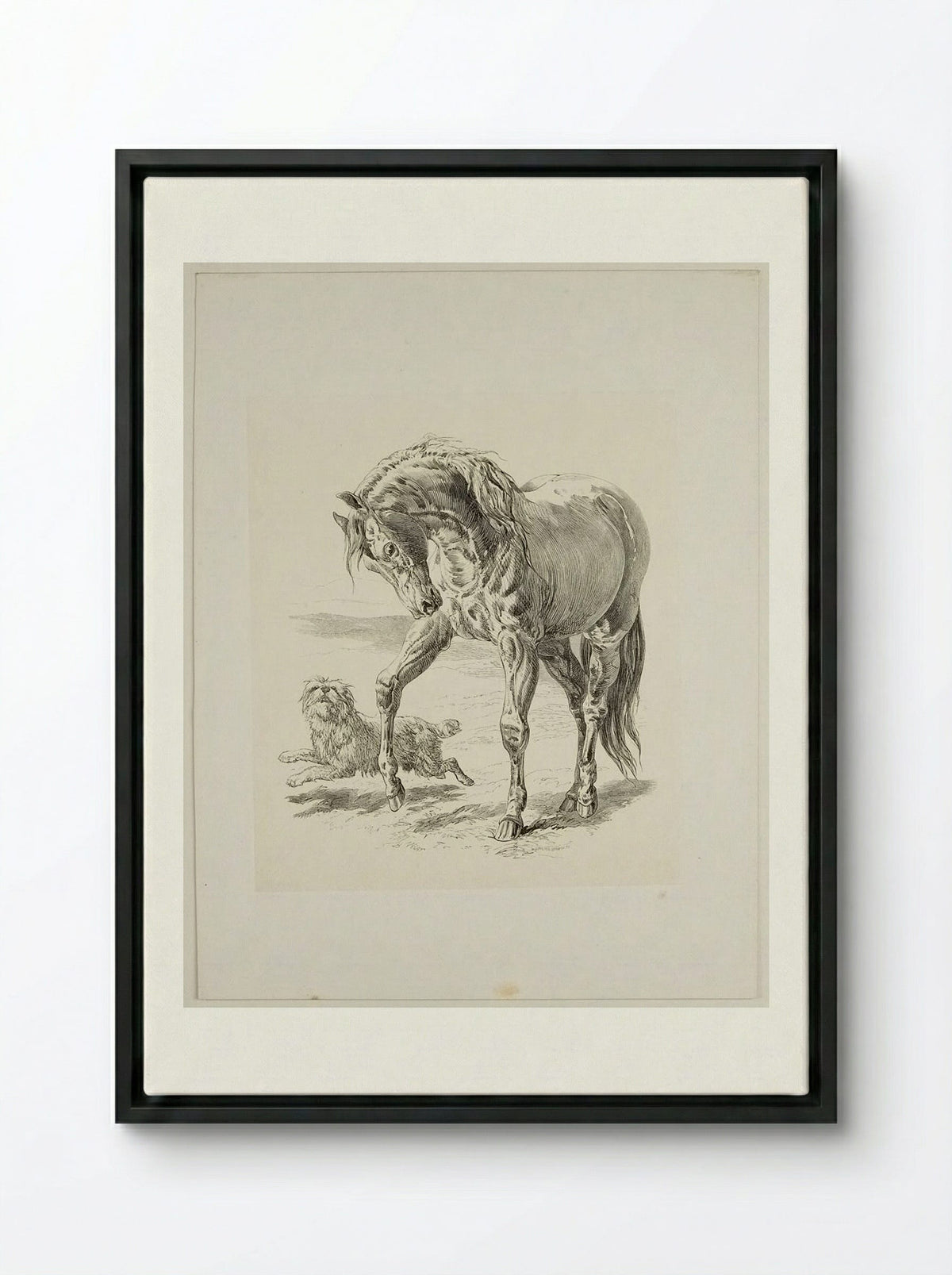 Horse and Dog - Walter Gorway - Framed Canvas Black