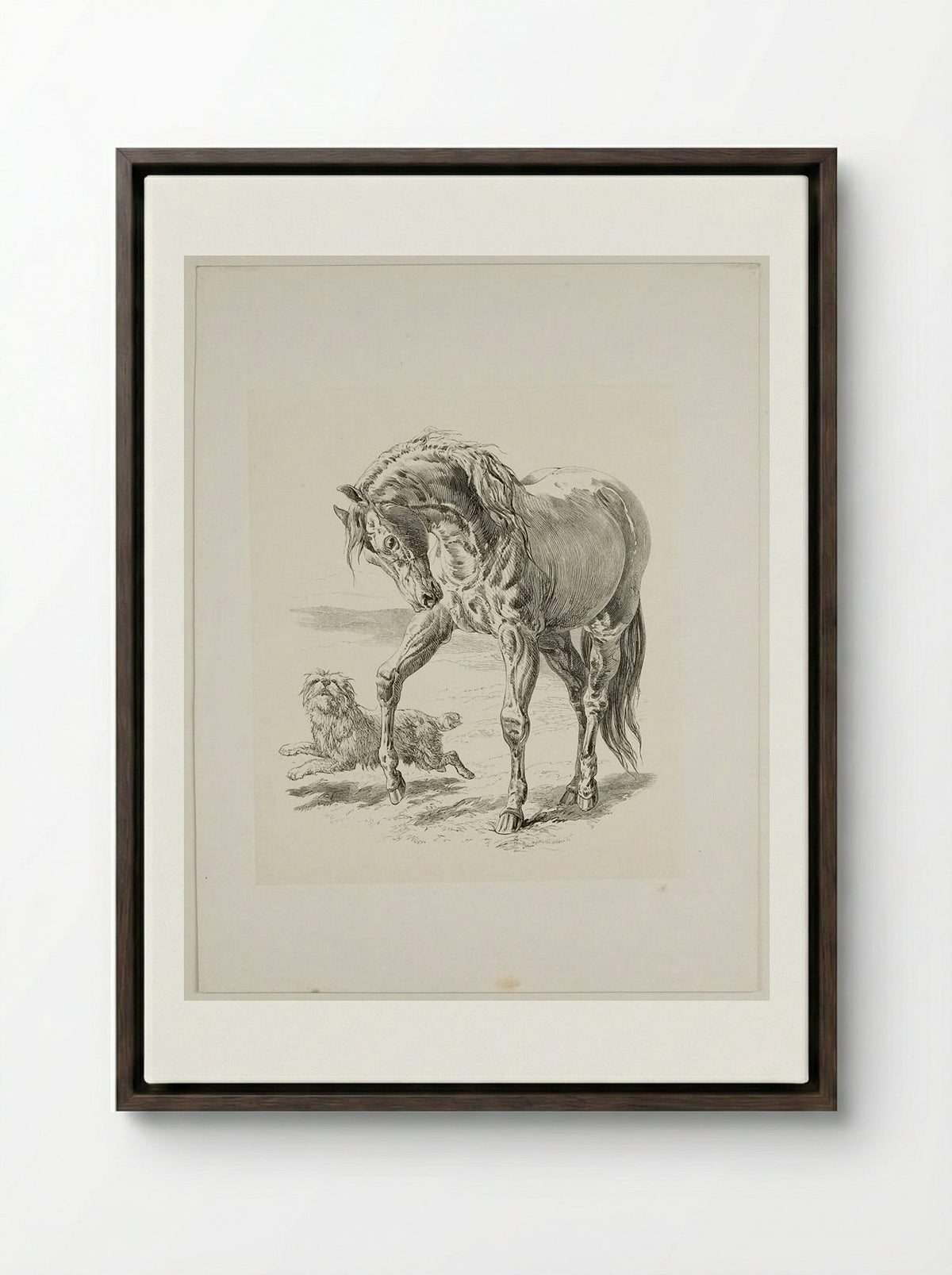 Horse and Dog - Walter Gorway - Framed Canvas Dark Wood