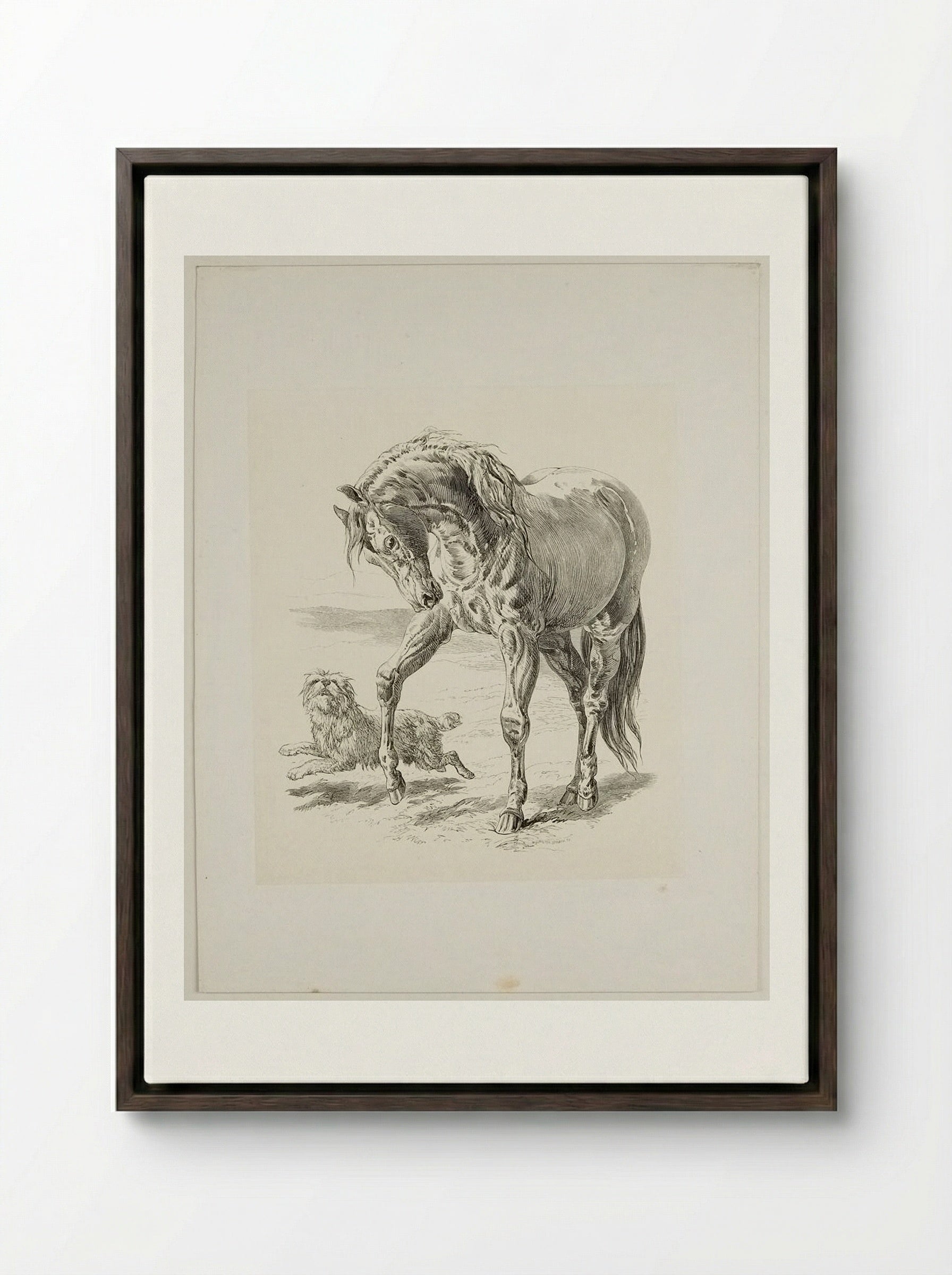 Horse and Dog - Walter Gorway - Framed Canvas Dark Wood