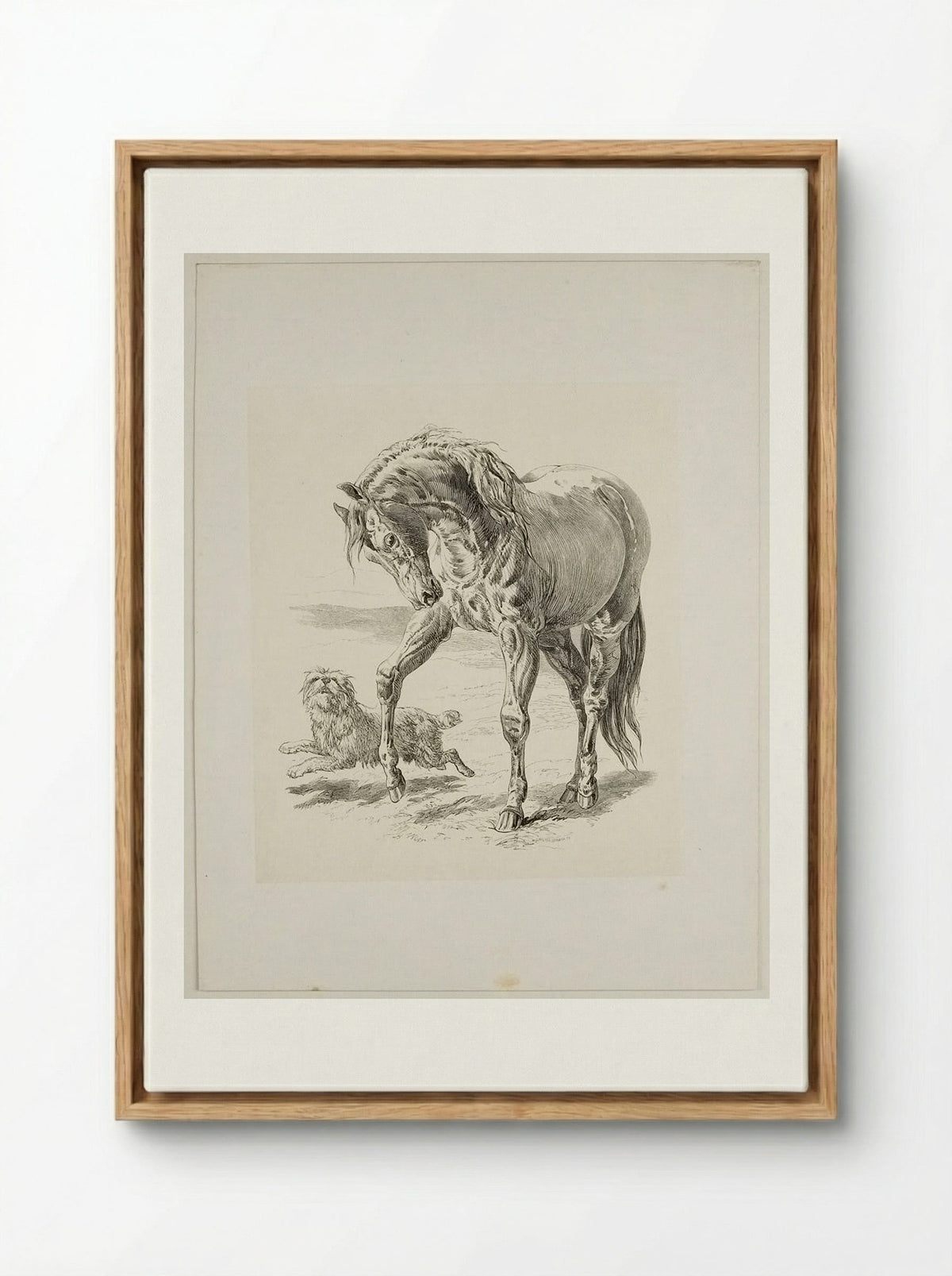 Horse and Dog - Walter Gorway - Framed Canvas Wood