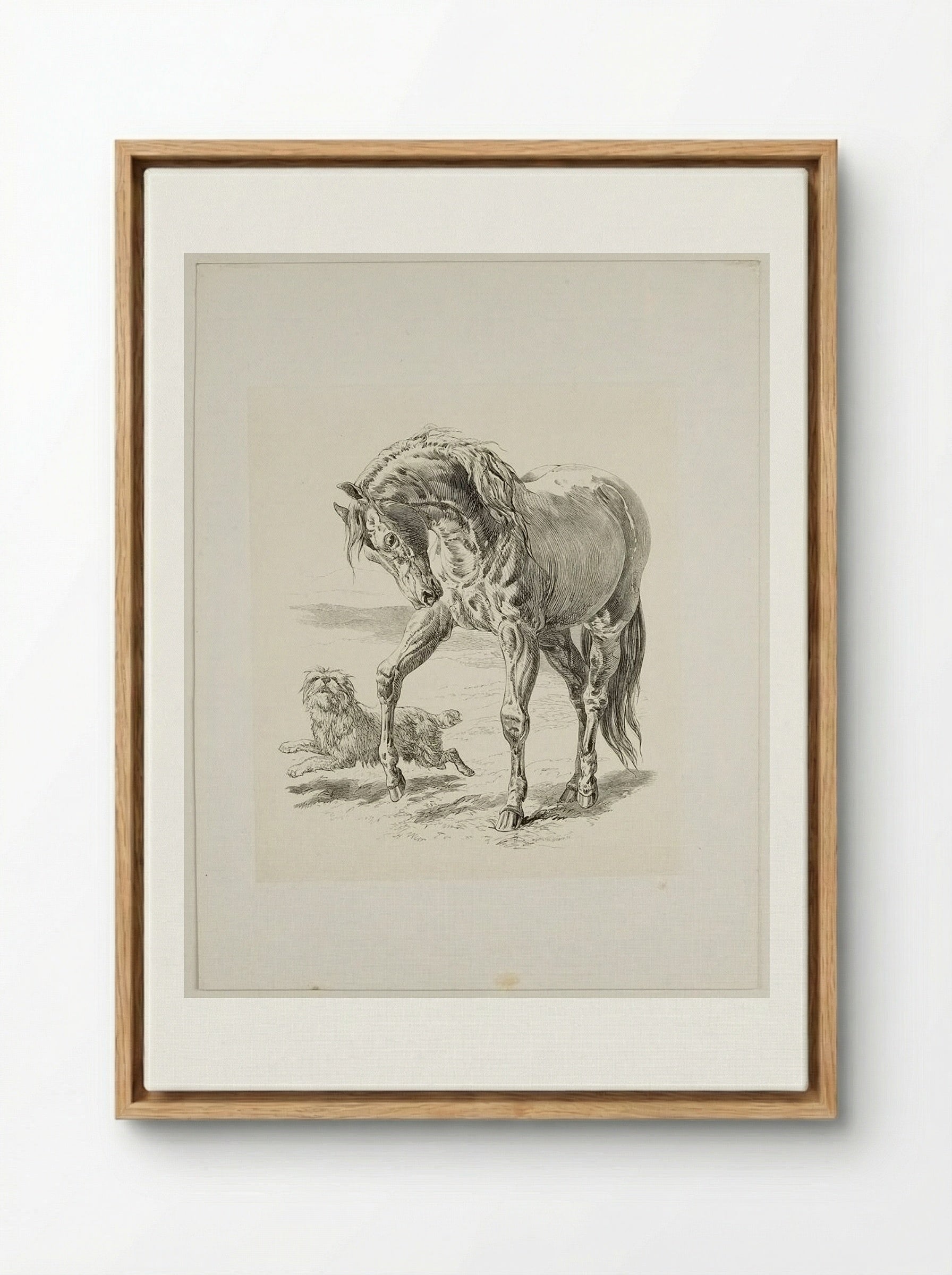 Horse and Dog - Walter Gorway - Framed Canvas Wood
