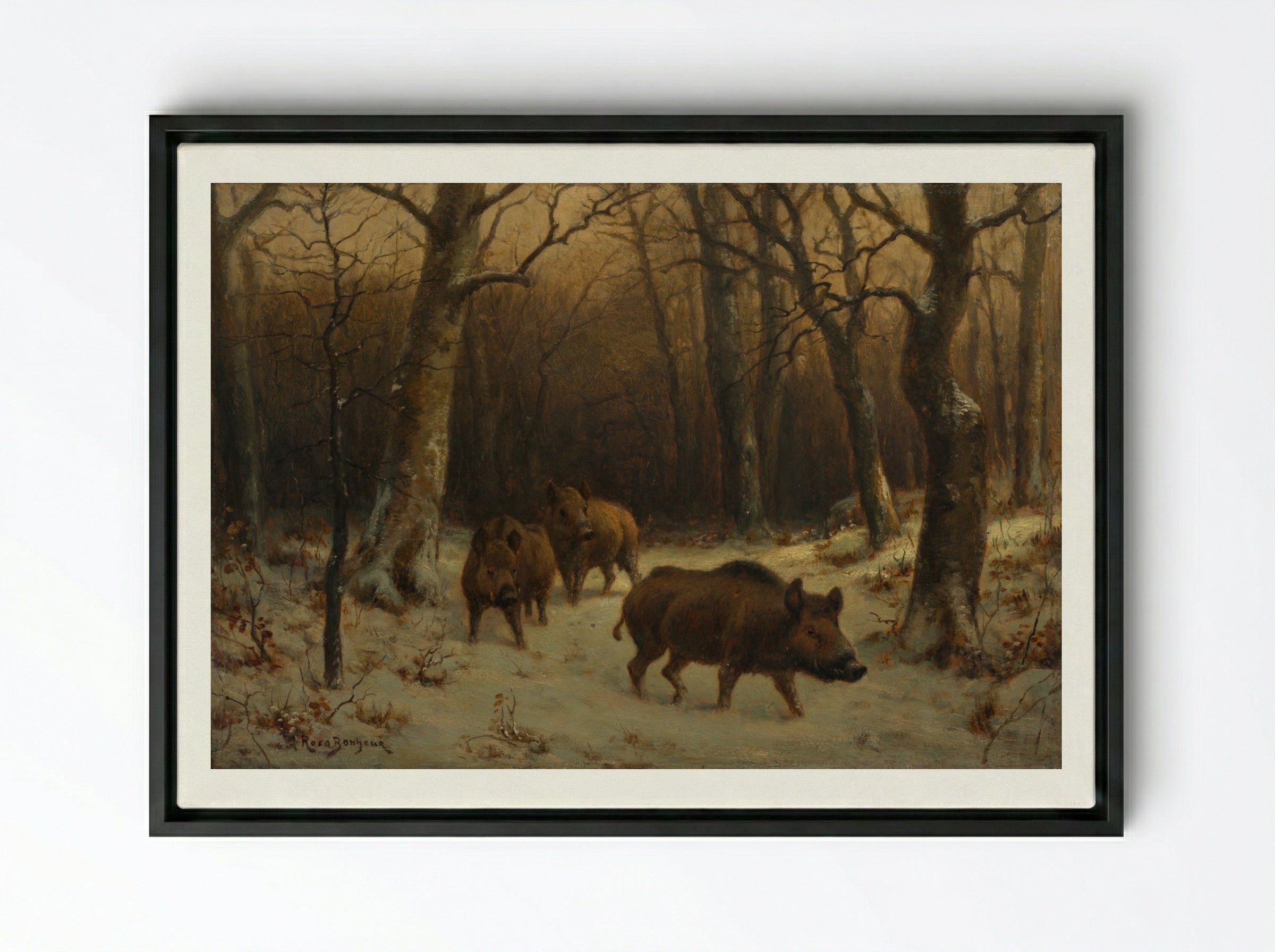 Wild Boars in the Snow - Rosa Bonheur - Framed Canvas Black