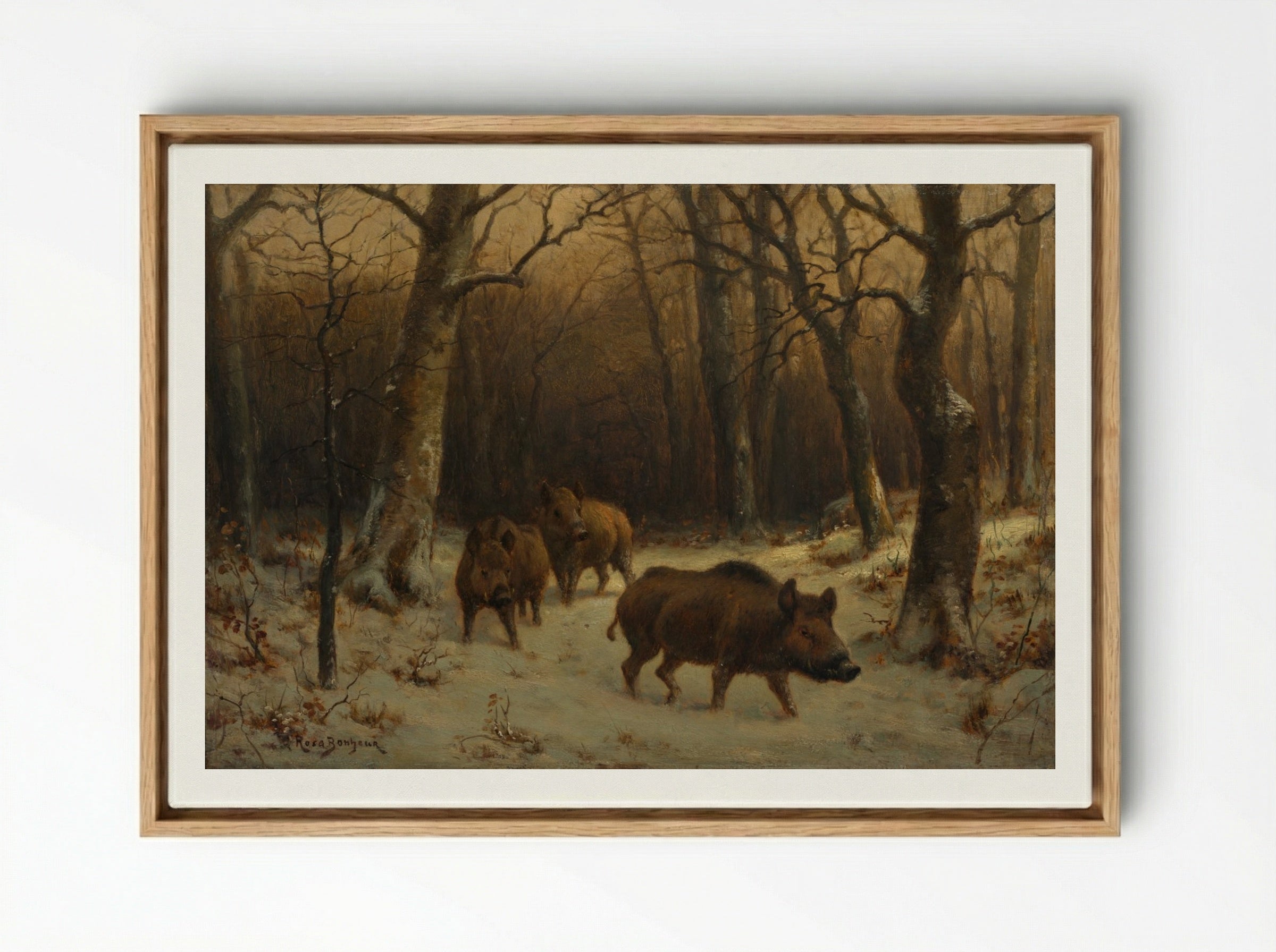 Wild Boars in the Snow - Rosa Bonheur - Framed Canvas Wood