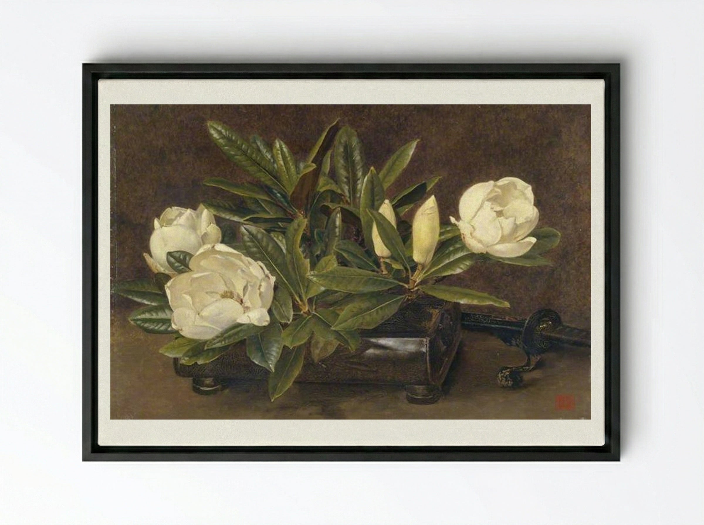 Magnolias - Alfred Parsons - Framed Canvas Black