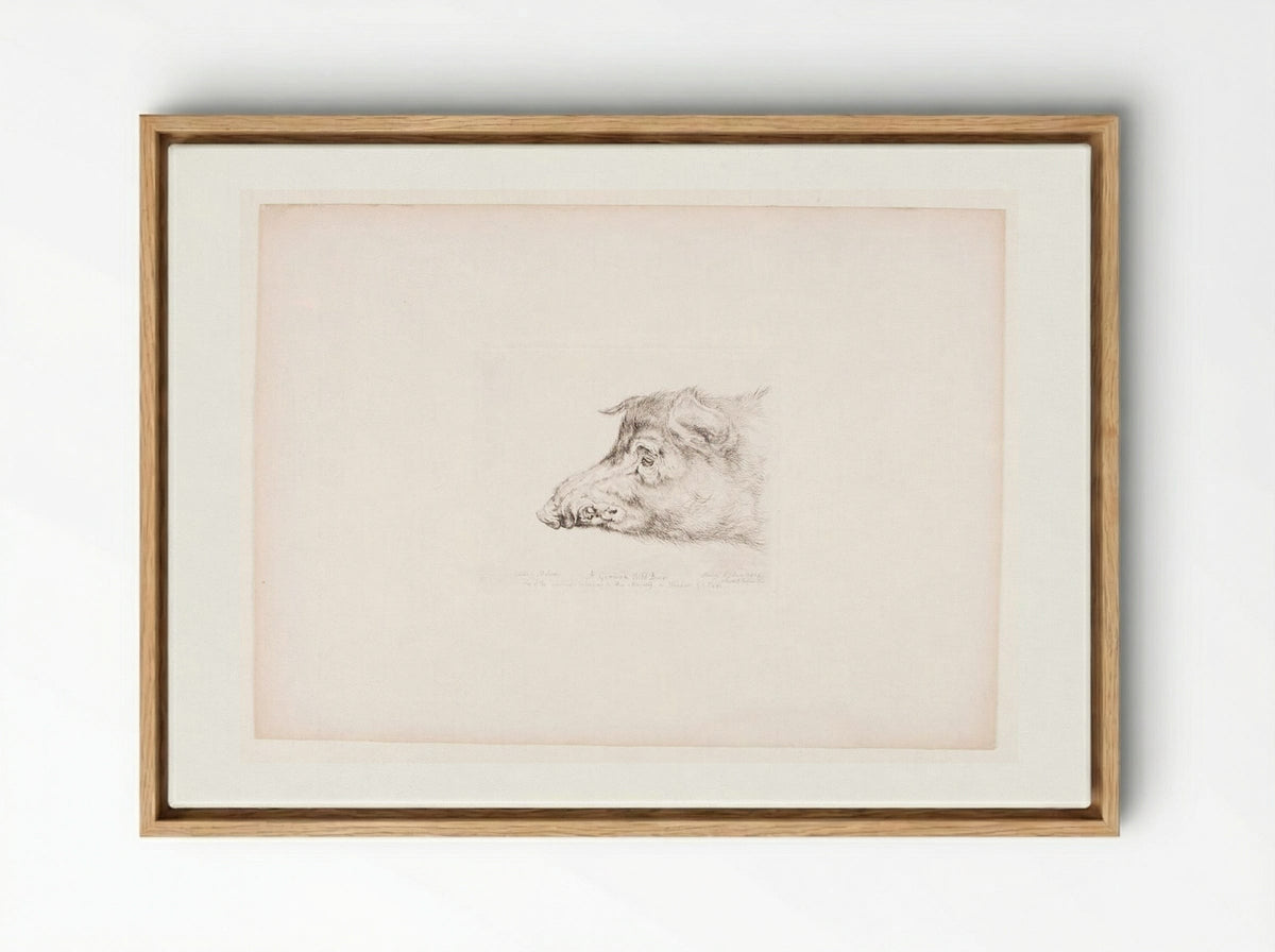 A German Wild Boar - John Frederick Lewis - Framed Canvas Wood