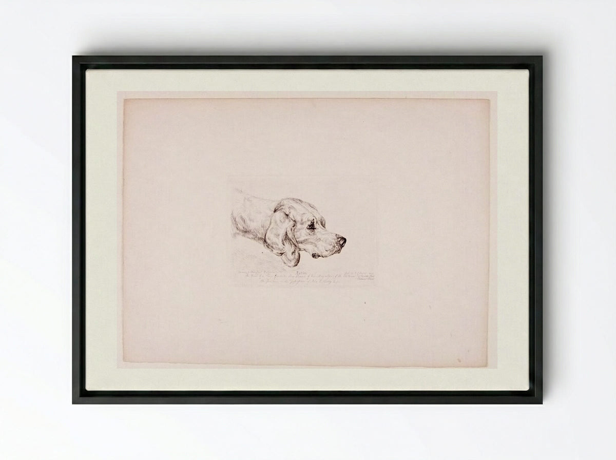 Rattler - John Frederick Lewis - Framed Canvas Black