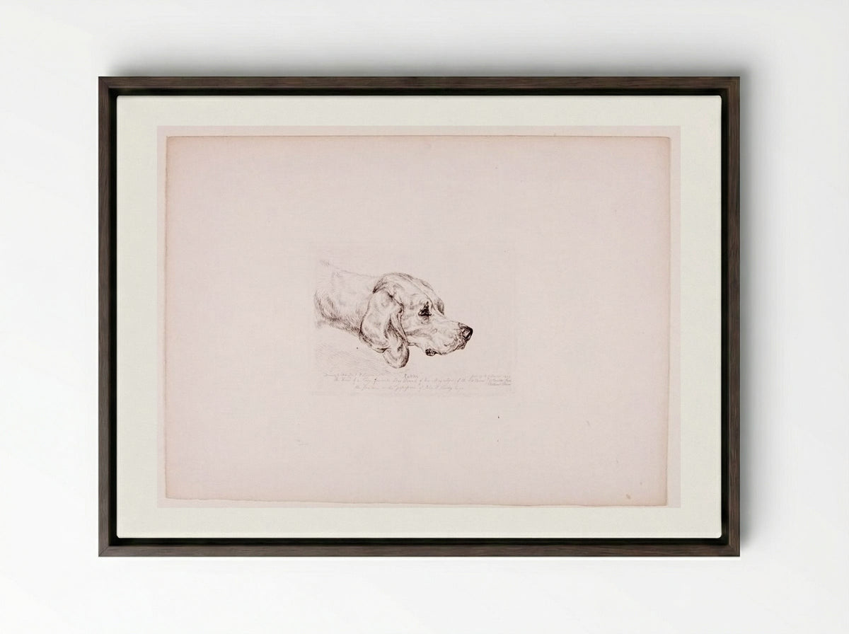Rattler - John Frederick Lewis - Framed Canvas Dark Wood