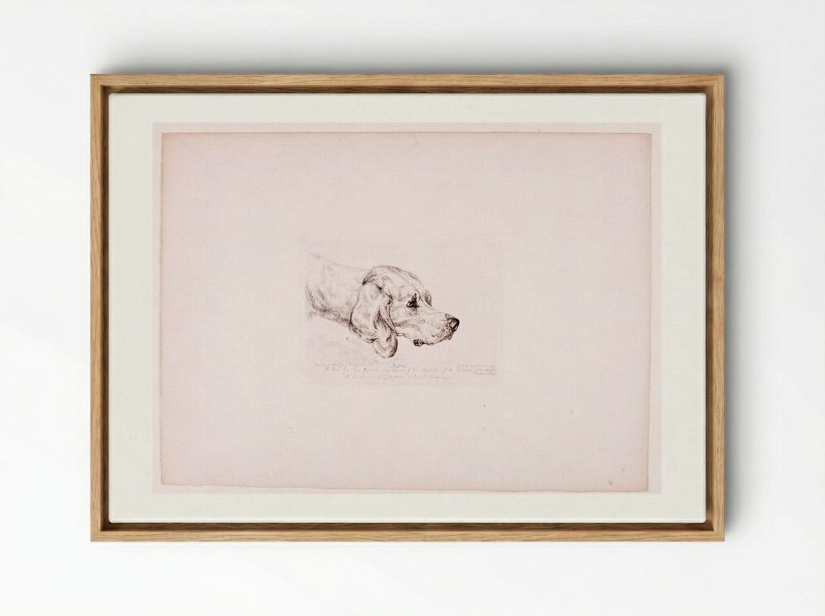 Rattler - John Frederick Lewis - Framed Canvas Wood