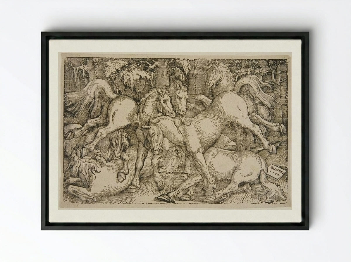 Fighting Wild Horses in a Wood - Hans Baldung Grien - Framed Canvas Black