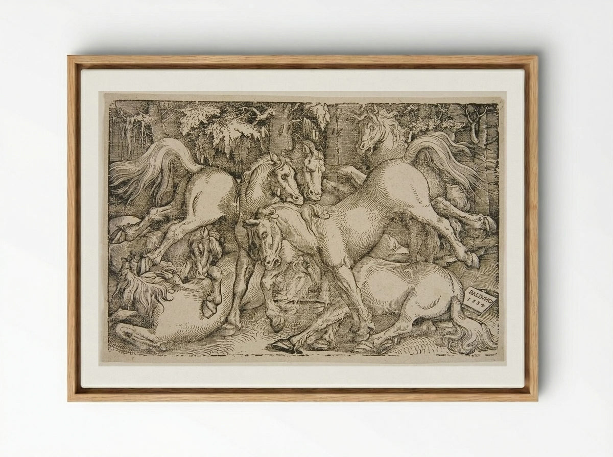 Fighting Wild Horses in a Wood - Hans Baldung Grien - Framed Canvas Wood