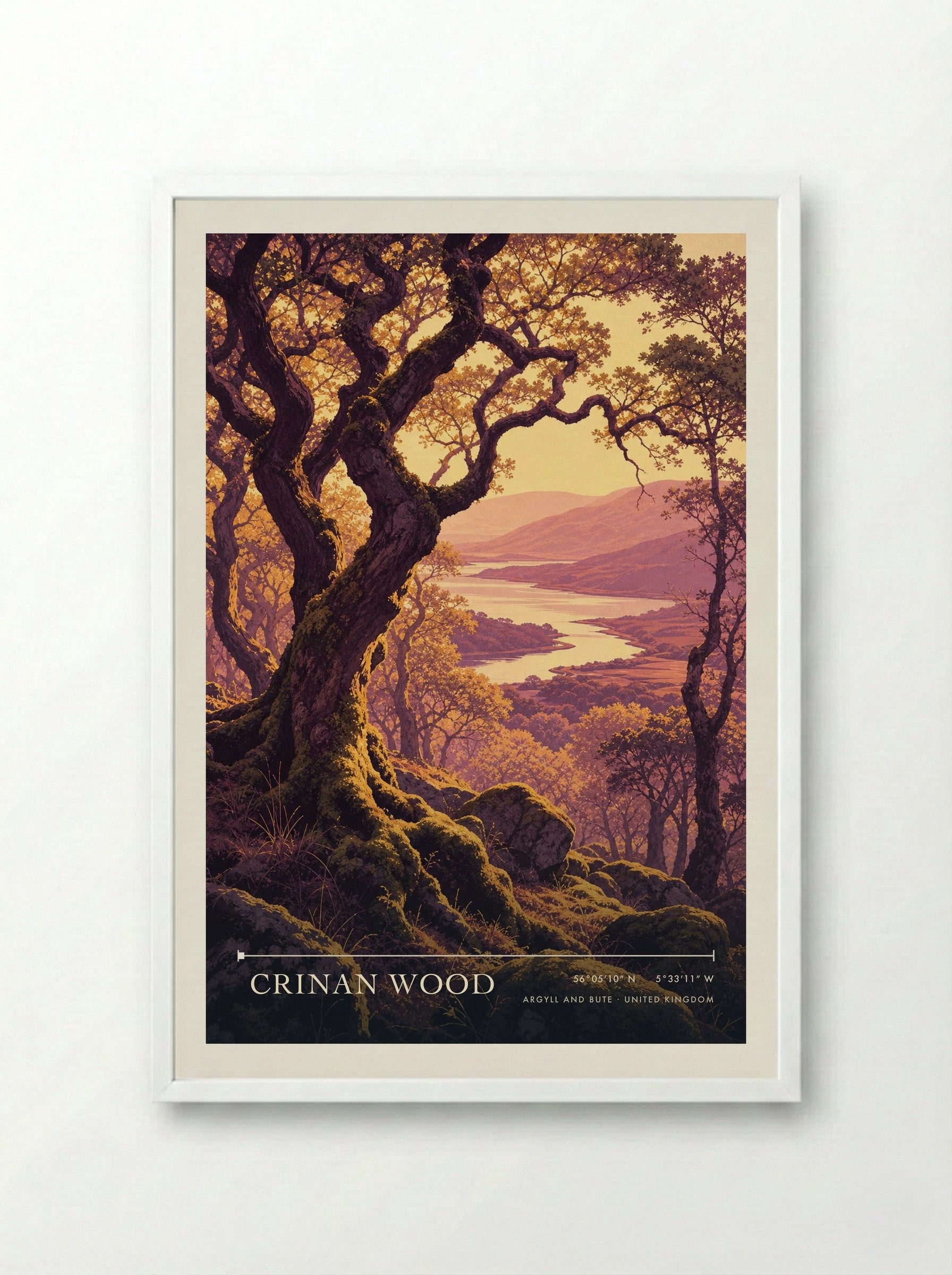Crinan Wood Argyll and Bute United Kingdom Travel Poster - Framed Print White
