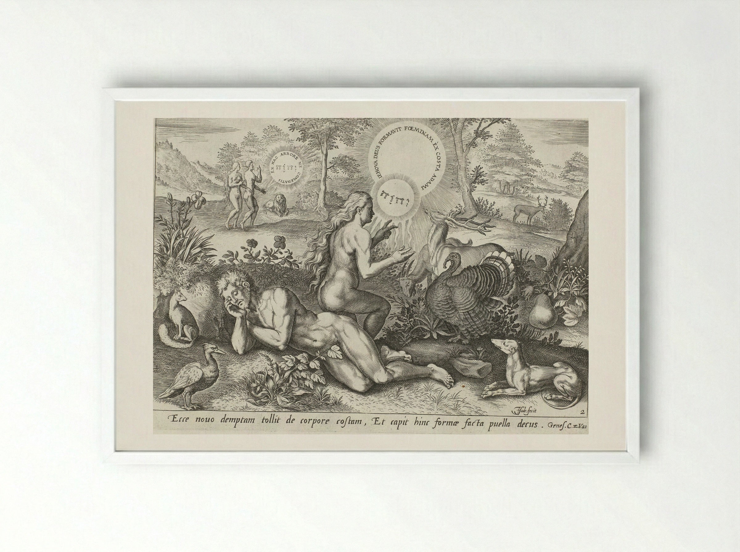 The Creation of Eve - Claes Jansz. Visscher (II) - Framed Print White