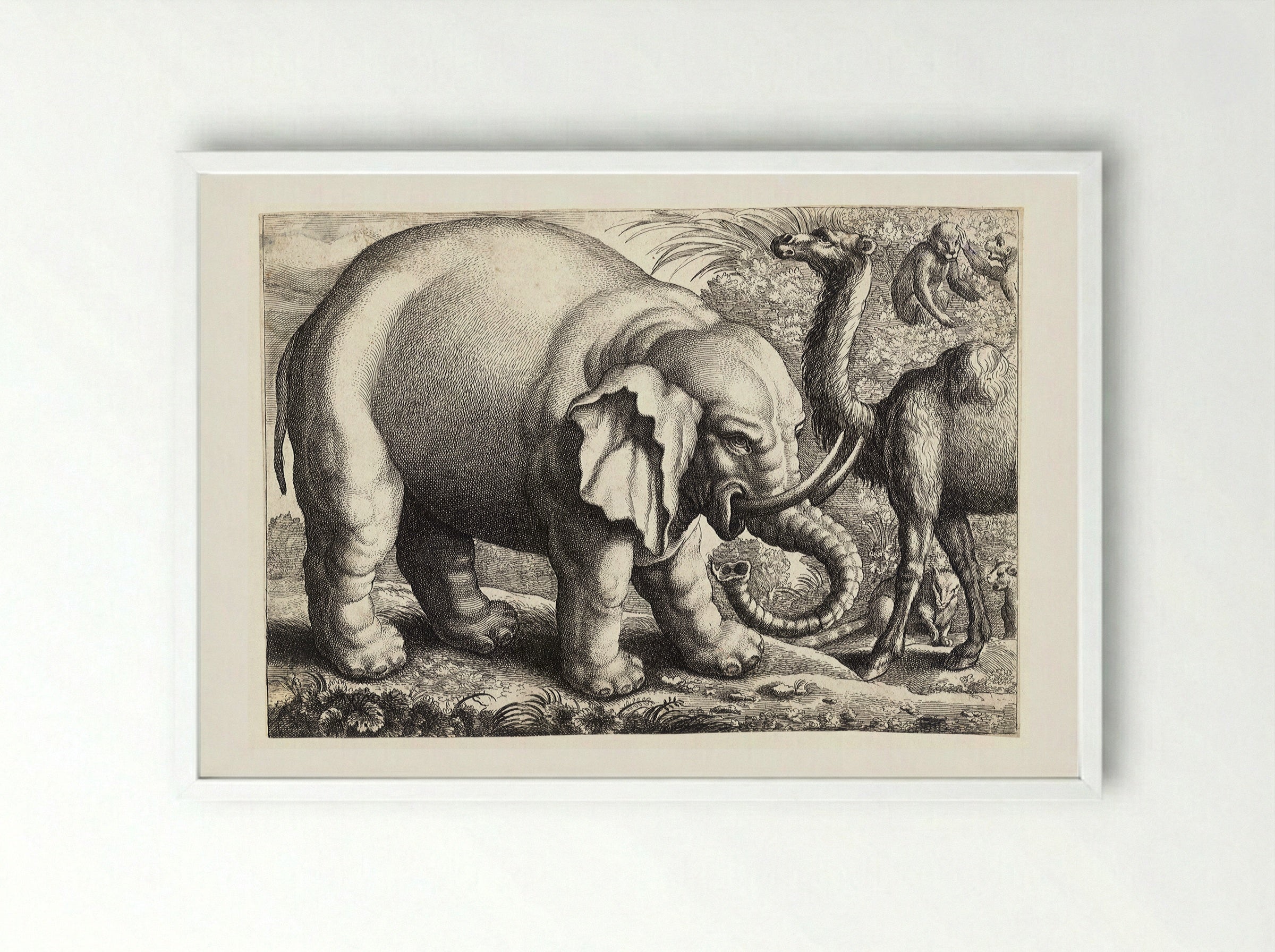 Elephant and Camel - Wenceslaus Hollar - Framed Print White
