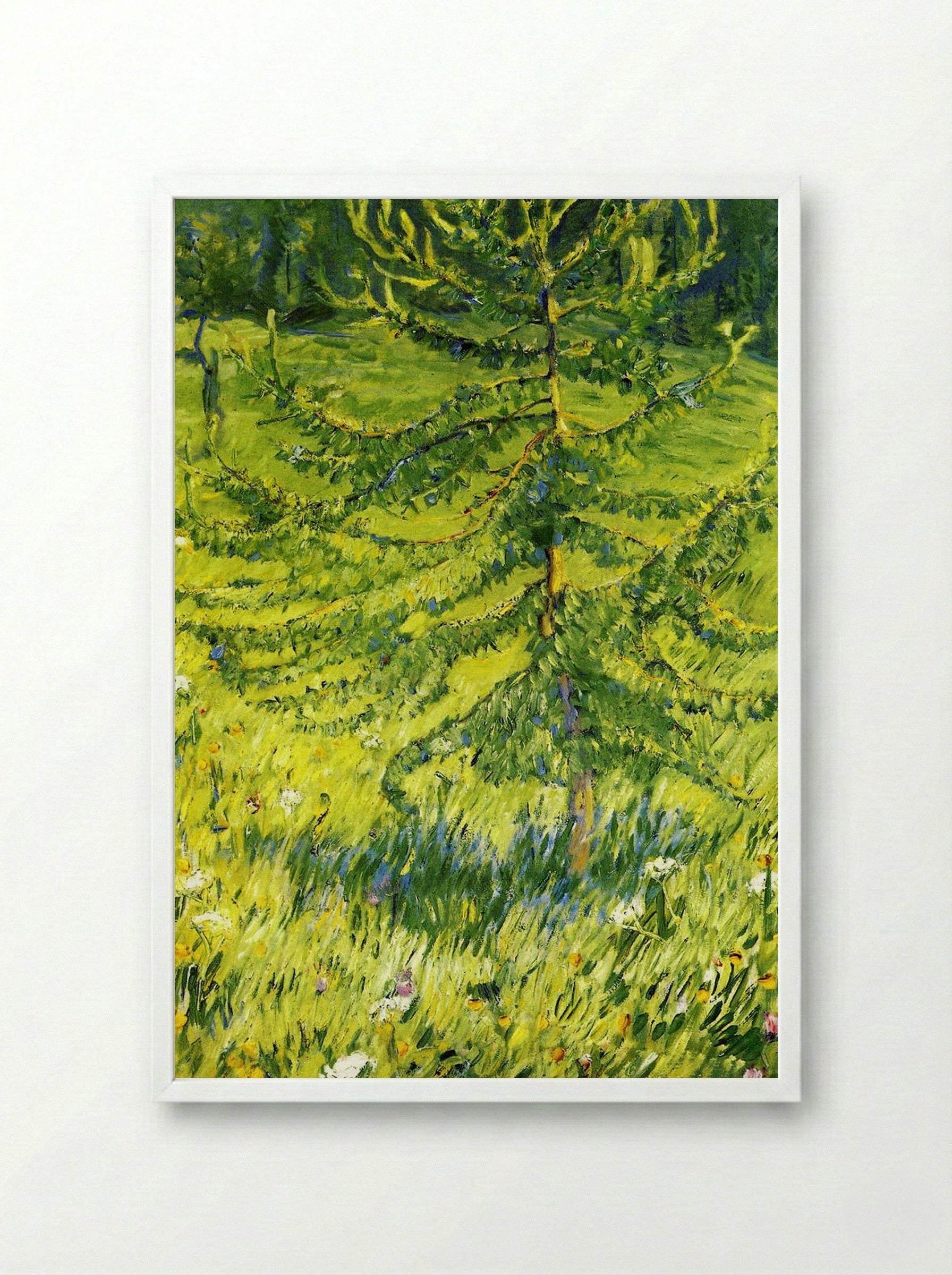 Larch Sapling - Konstantin Korovin - Framed Print White