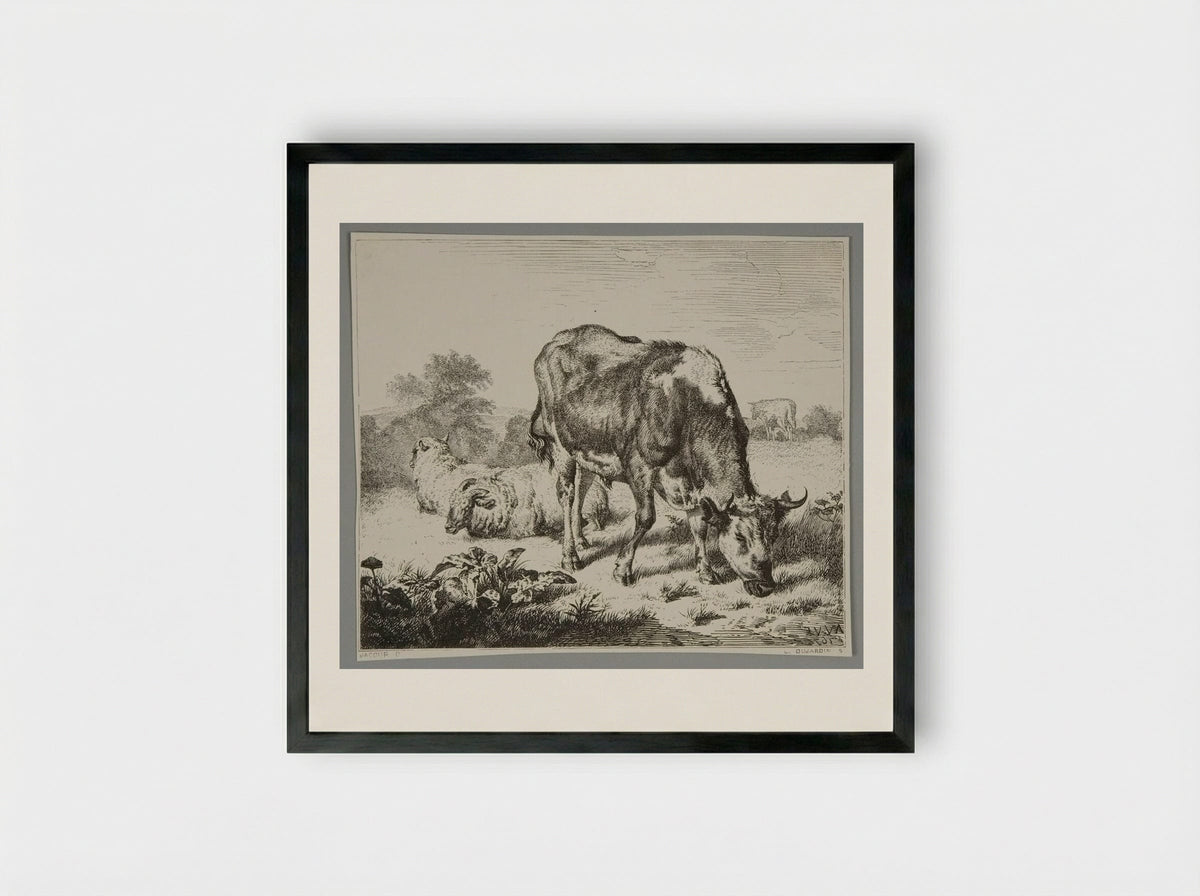 Ox and Three Sheep - Louis Dujardin - Framed Print Black