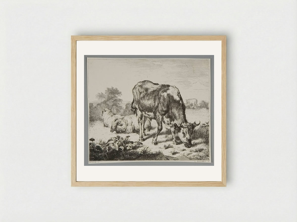 Ox and Three Sheep - Louis Dujardin - Framed Print Wood