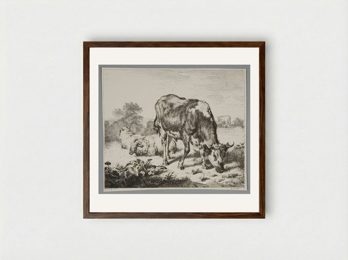 Ox and Three Sheep - Louis Dujardin - Framed Print Dark Wood
