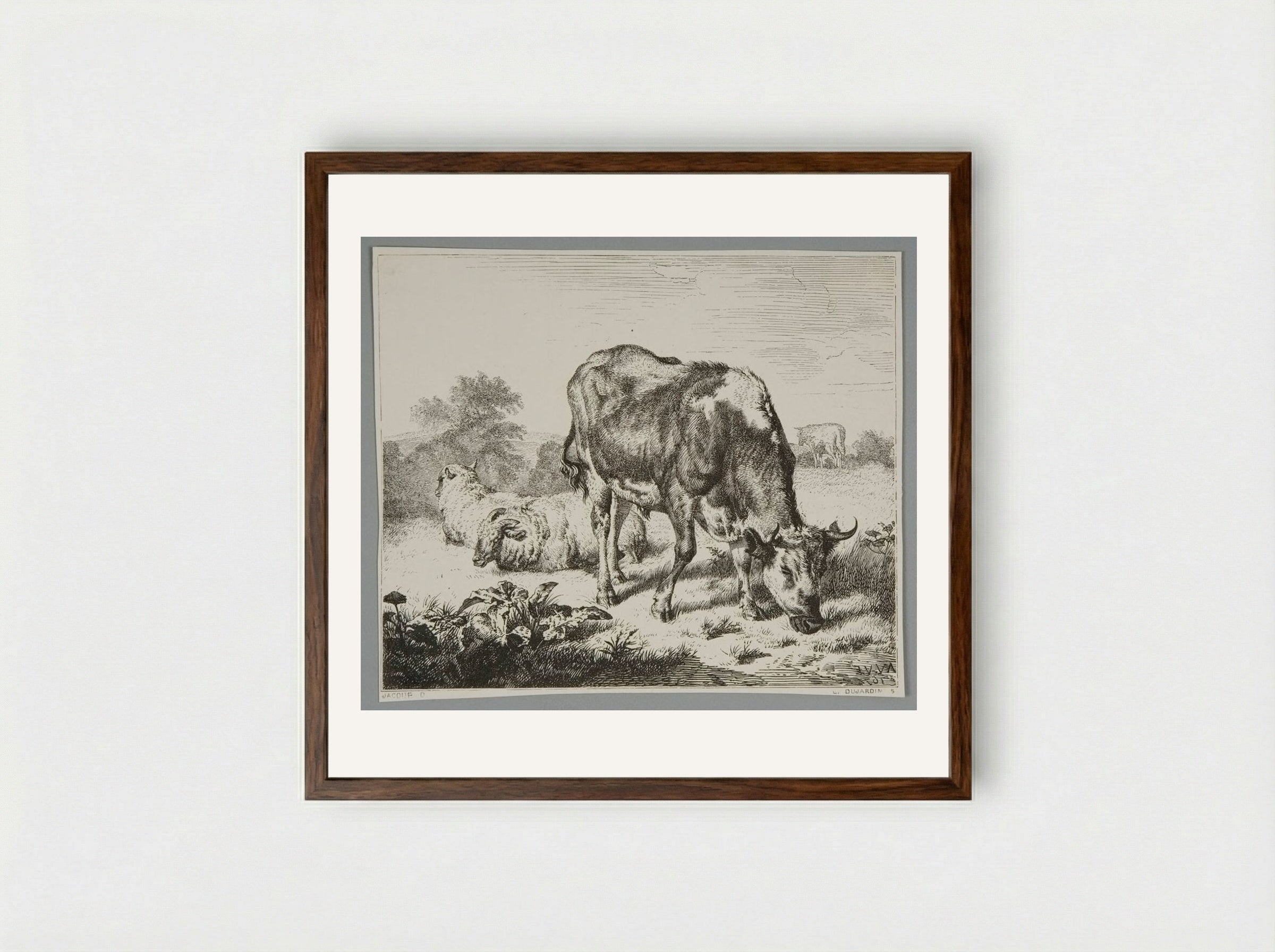 Ox and Three Sheep - Louis Dujardin - Framed Print Dark Wood