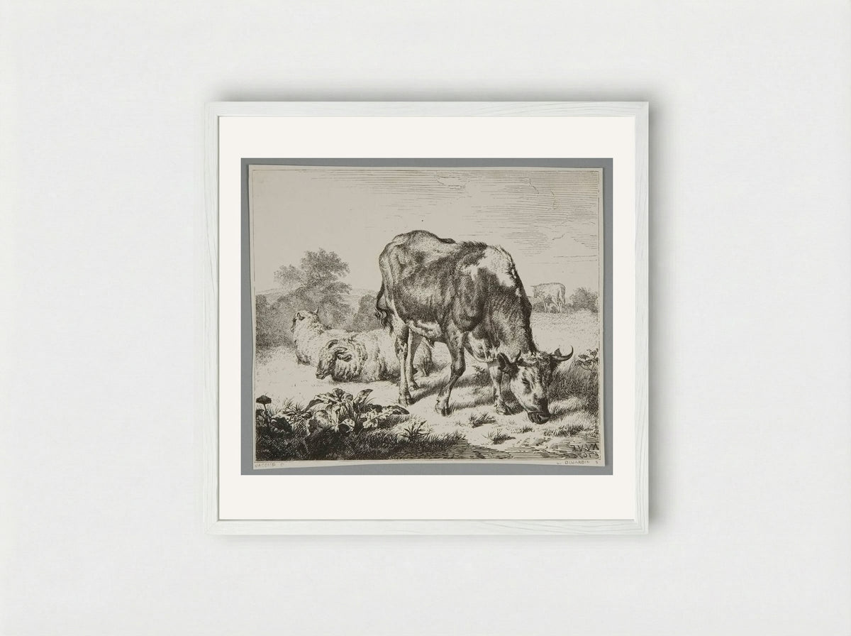 Ox and Three Sheep - Louis Dujardin - Framed Print White