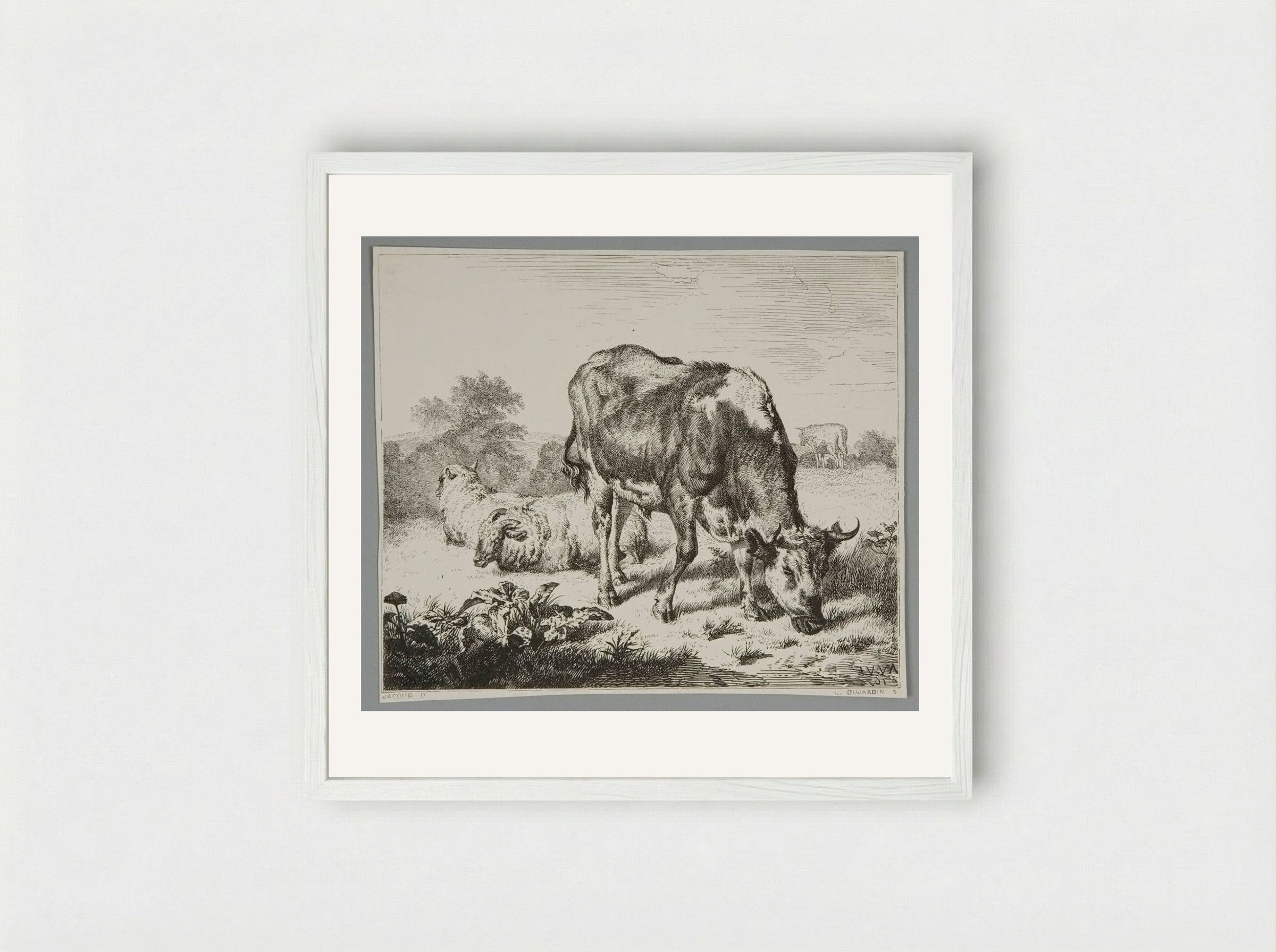 Ox and Three Sheep - Louis Dujardin - Framed Print White