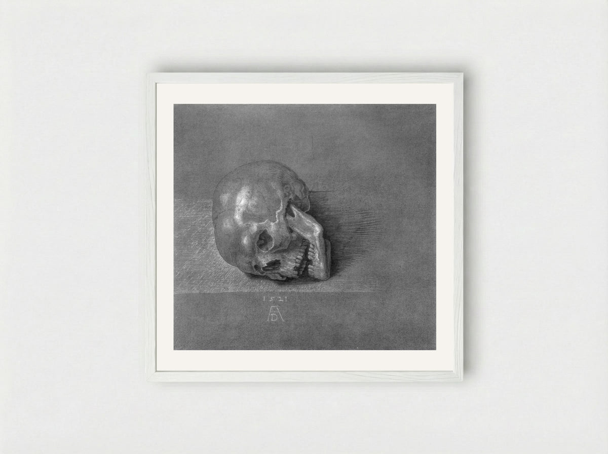Skull (Study) - Albrecht Dürer - Framed Print White