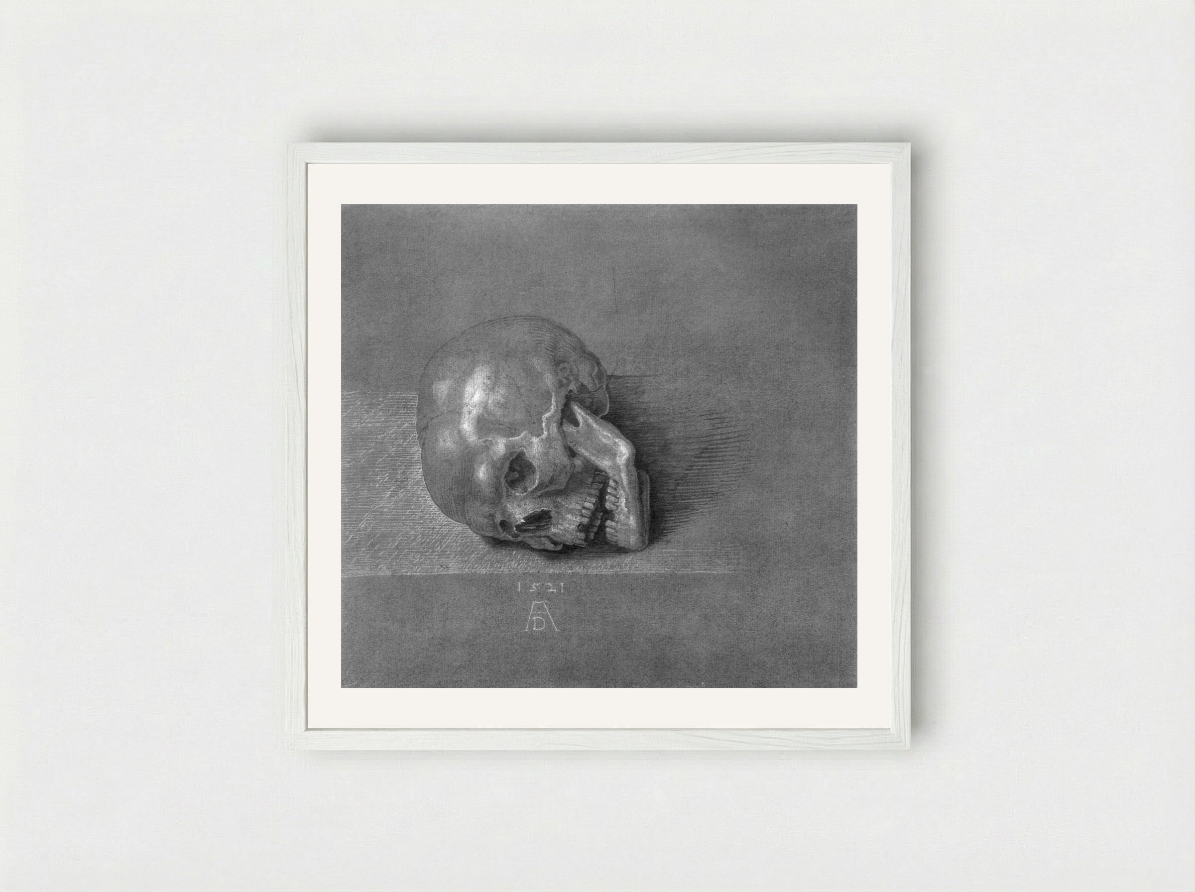 Skull (Study) - Albrecht Dürer - Framed Print White