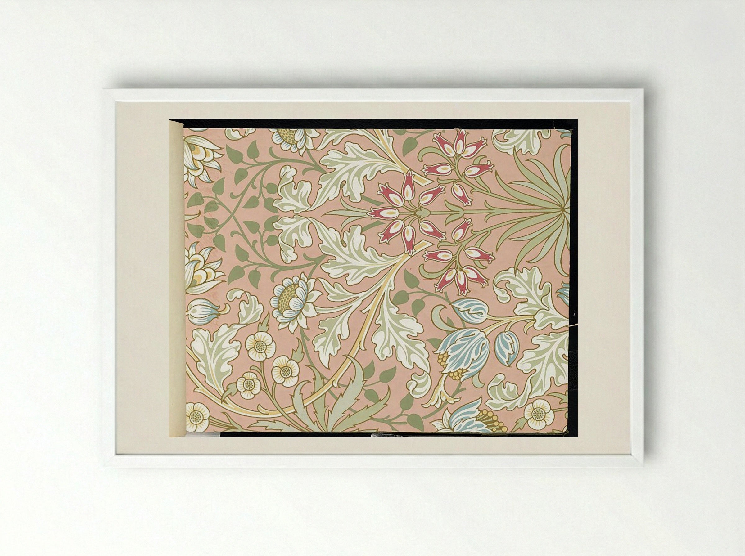 Hyacinth, Pattern No. 480 - Fine Art Print - Framed Print White