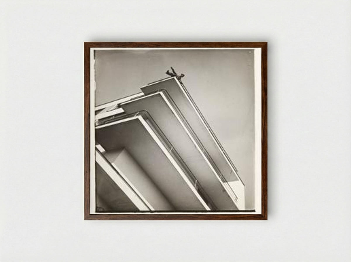 Xanti Schawinsky on a Bauhaus Balcony - László Moholy-Nagy - Framed Print Dark Wood