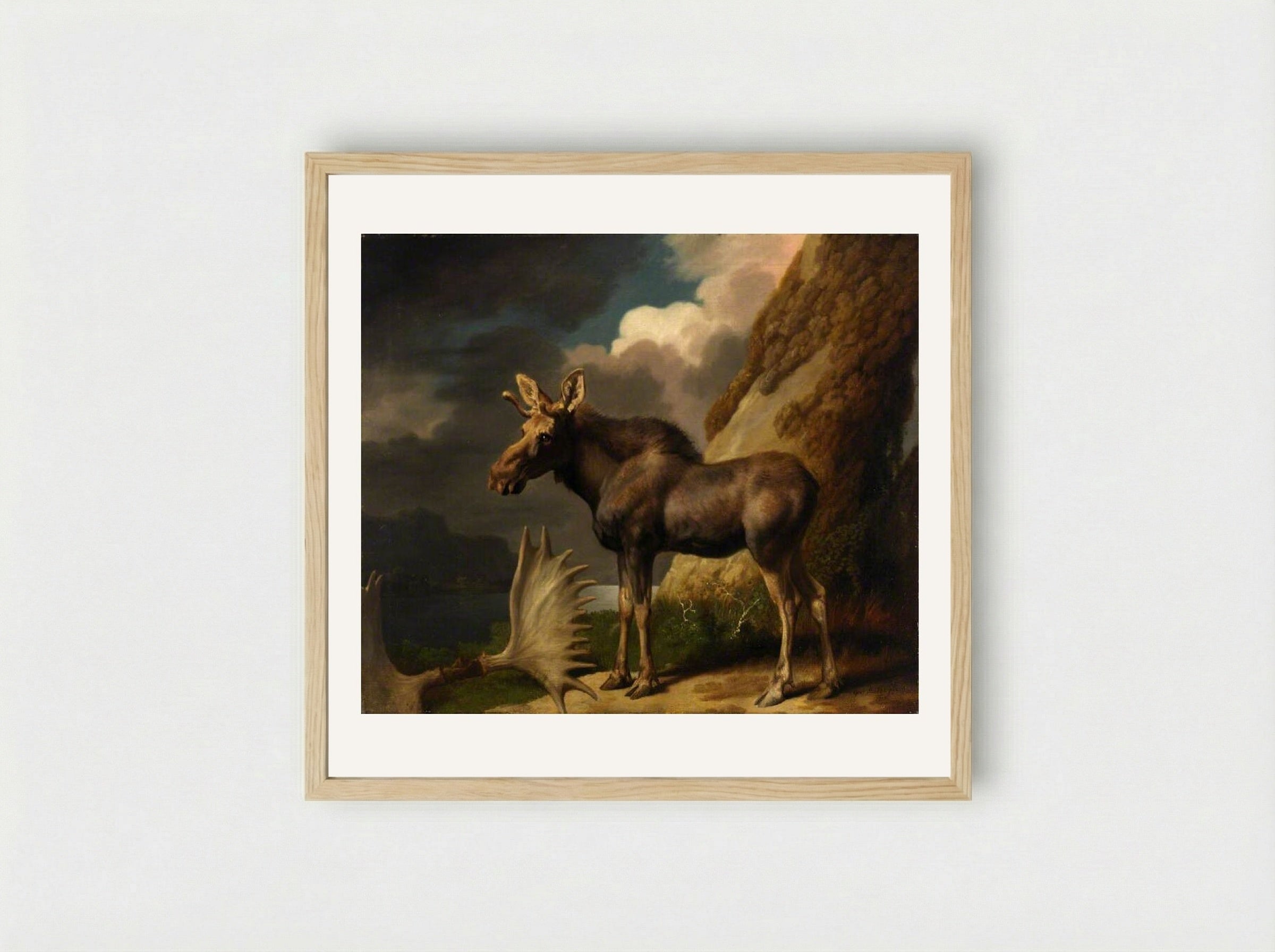 The Moose - George Stubbs - Framed Print Wood