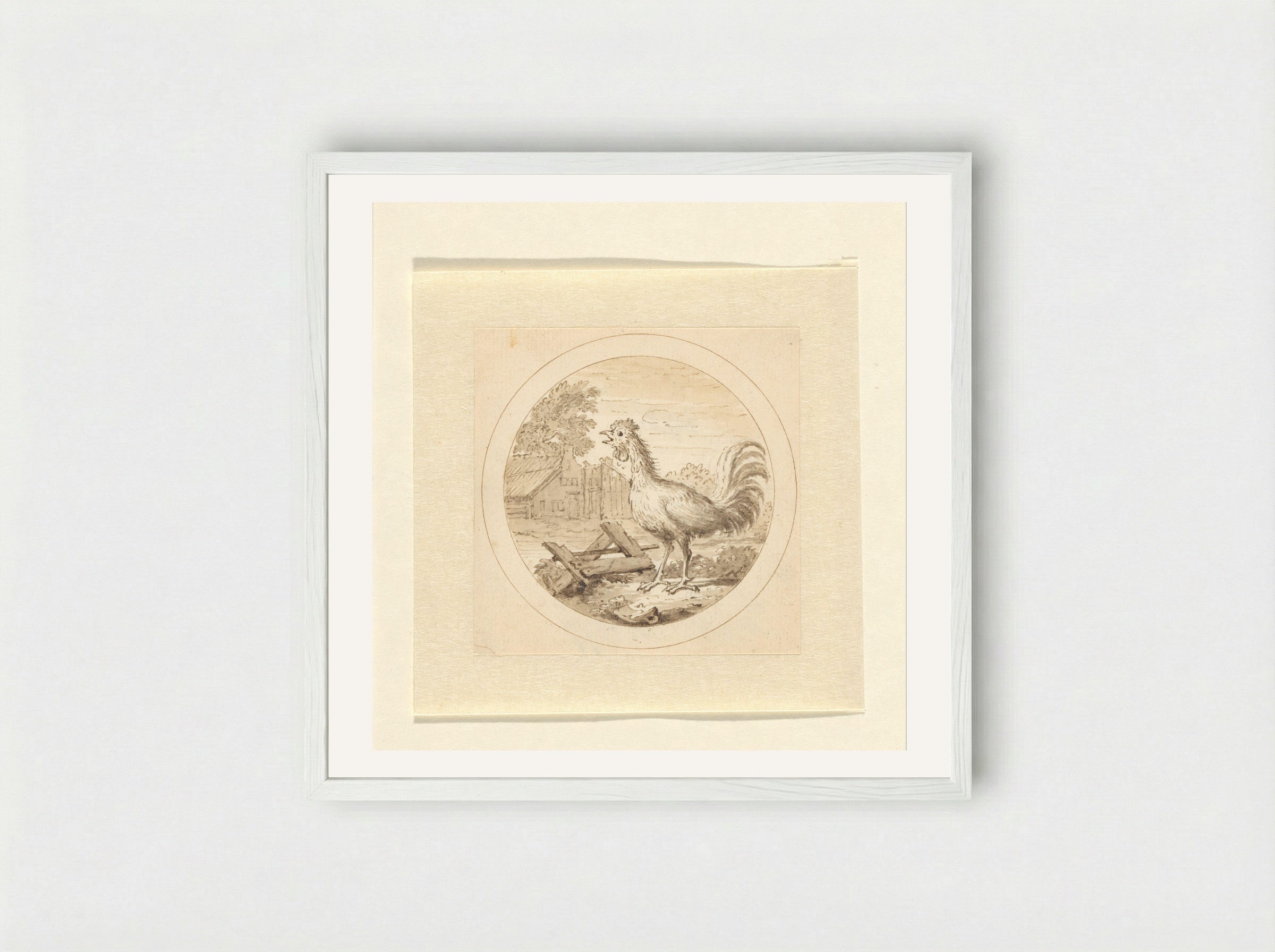 De Haan (The Rooster) - Arnold Houbraken - Framed Print White
