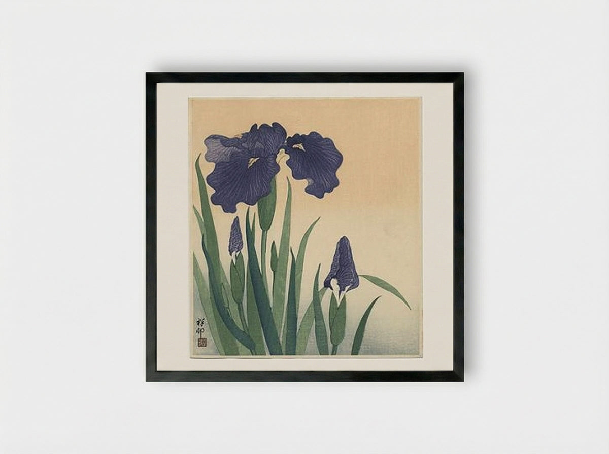 Flowering Iris - Ohara Koson - Framed Print Black