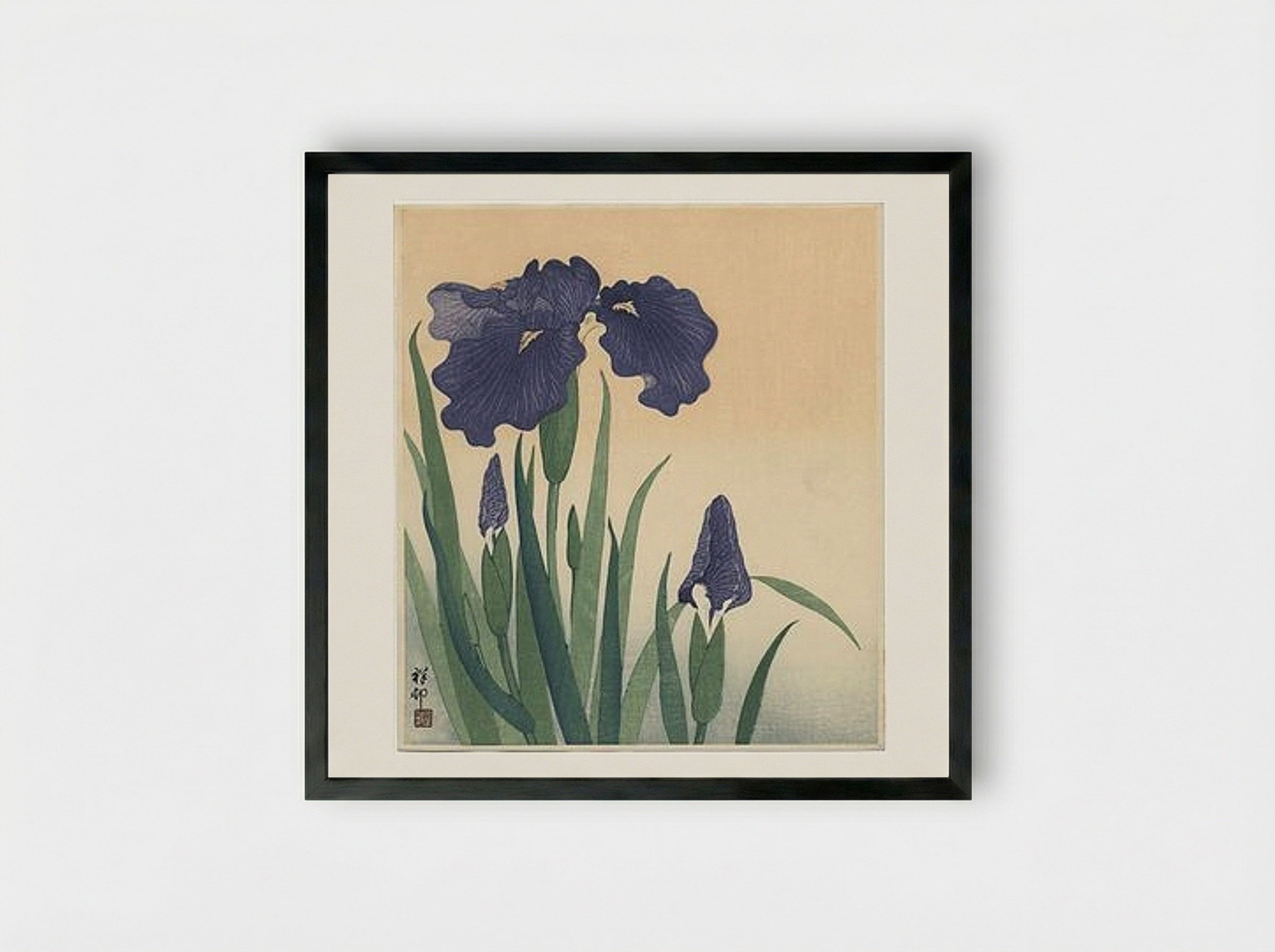 Flowering Iris - Ohara Koson - Framed Print Black