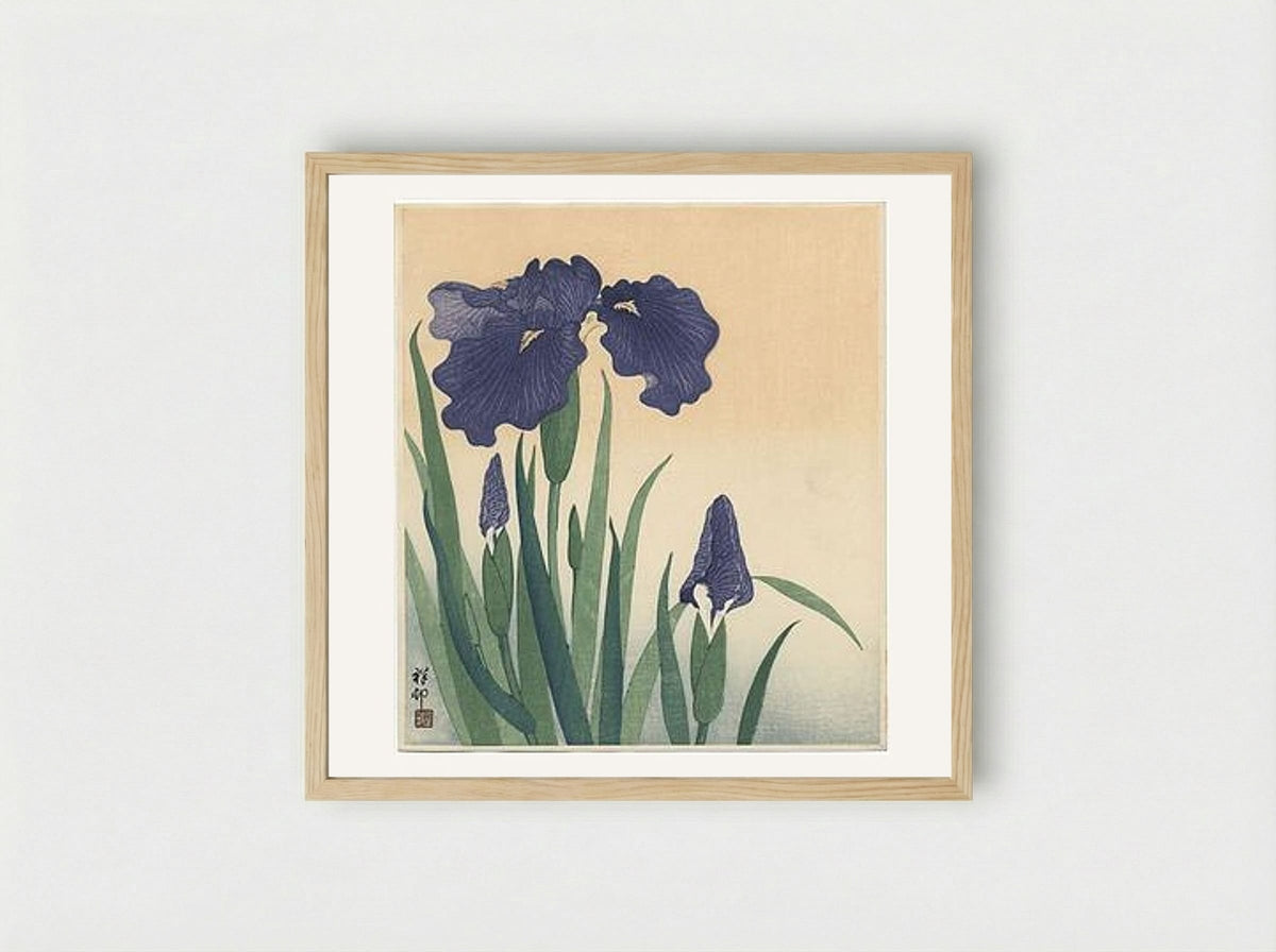 Flowering Iris - Ohara Koson - Framed Print Wood