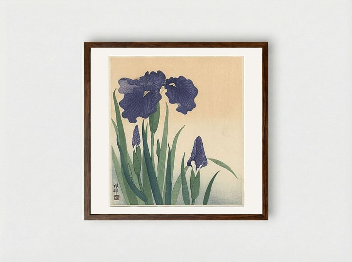Flowering Iris - Ohara Koson - Framed Print Dark Wood