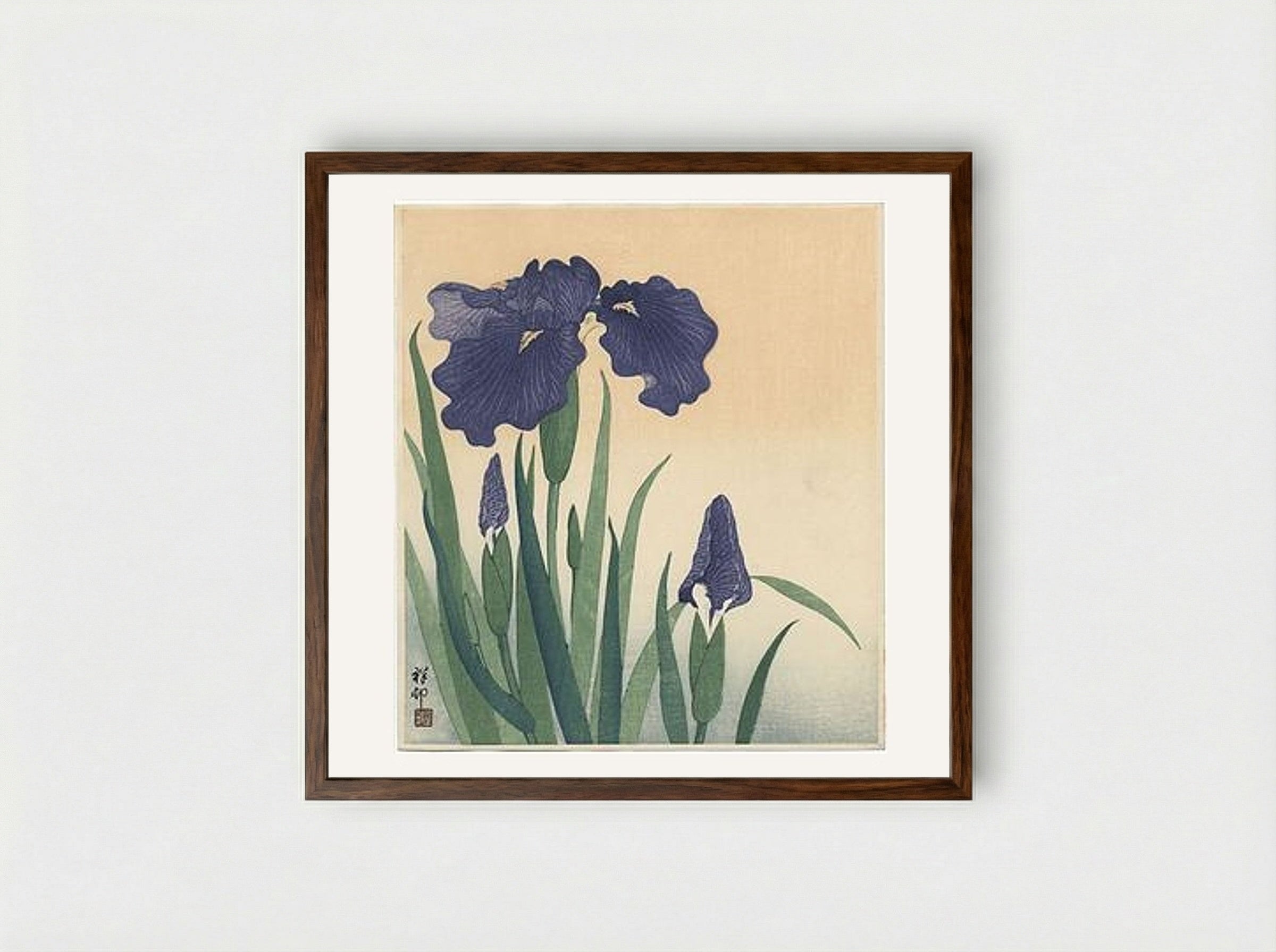Flowering Iris - Ohara Koson - Framed Print Dark Wood