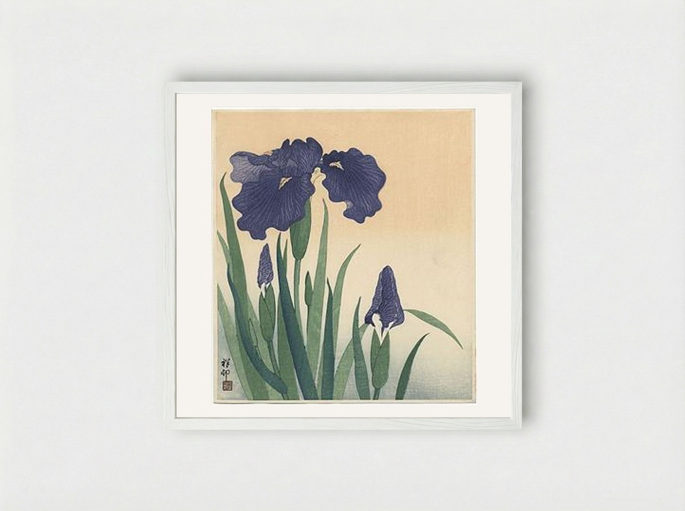 Flowering Iris - Ohara Koson - Framed Print White
