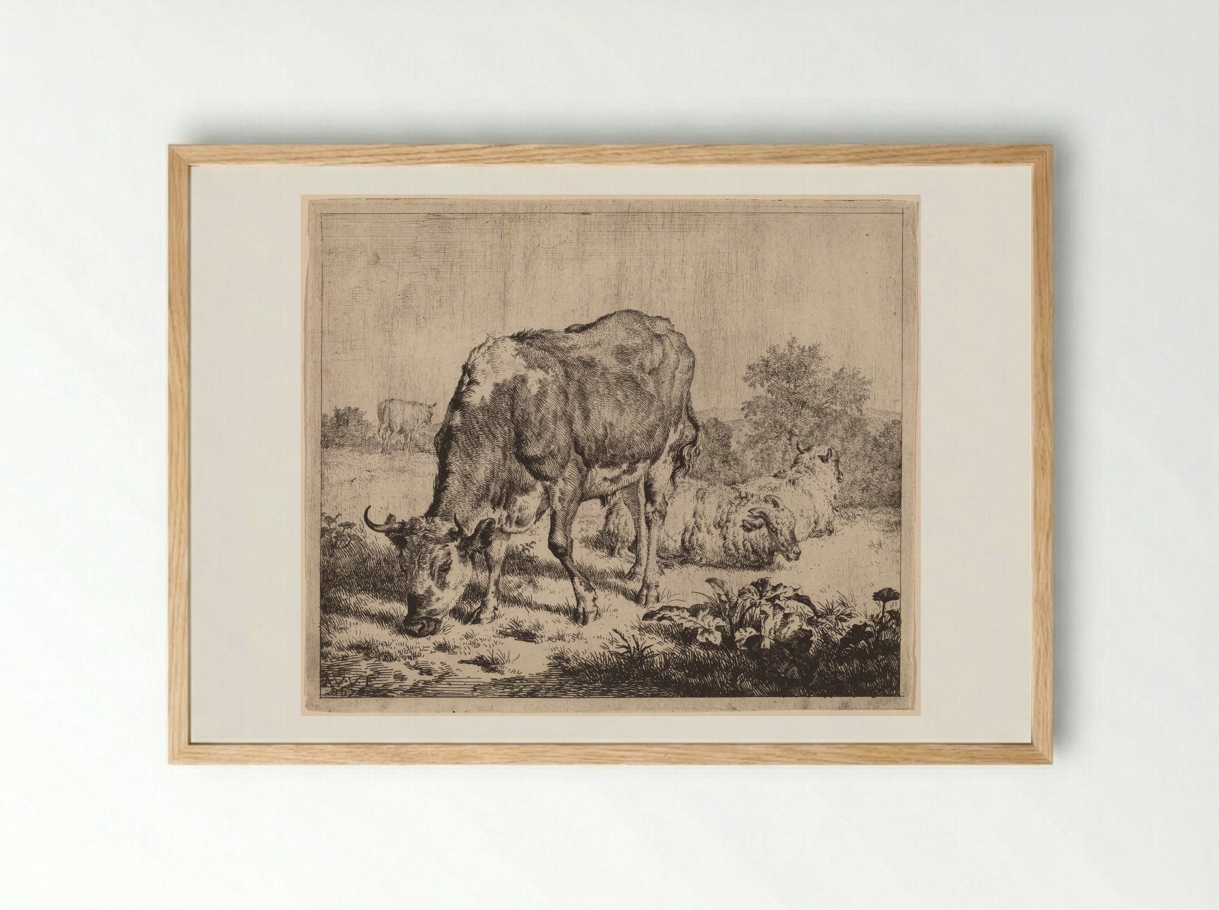 Spotted Bull and Three Sheep - Adriaen van de Velde - Framed Print Wood