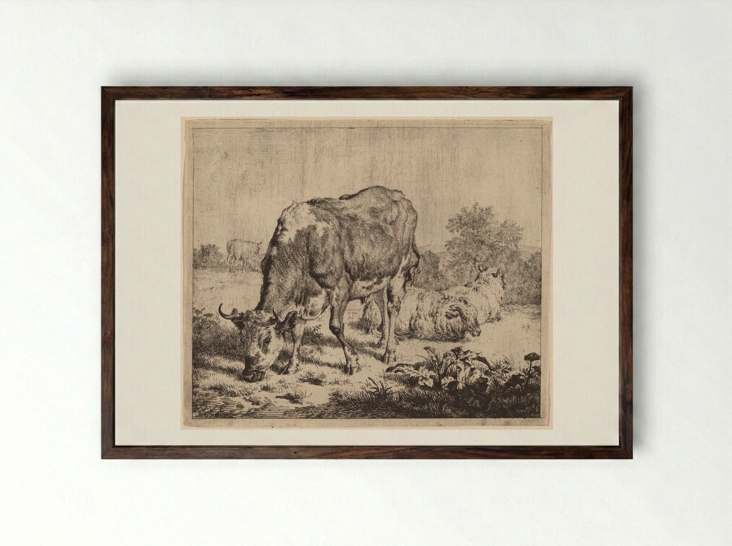 Spotted Bull and Three Sheep - Adriaen van de Velde - Framed Print Dark Wood