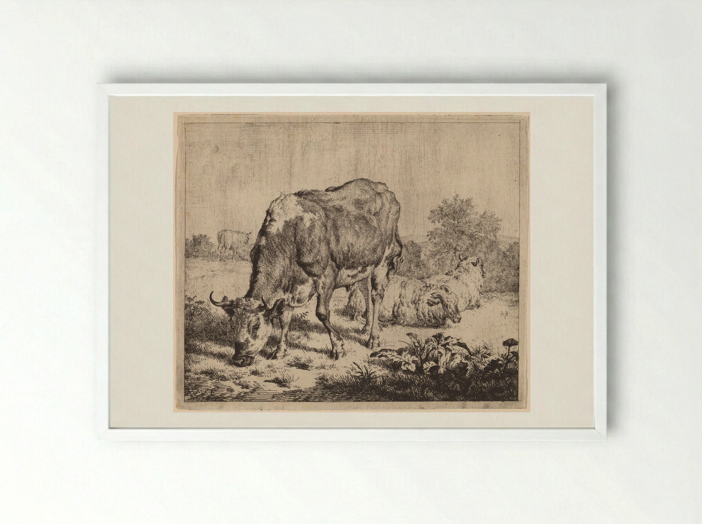 Spotted Bull and Three Sheep - Adriaen van de Velde - Framed Print White