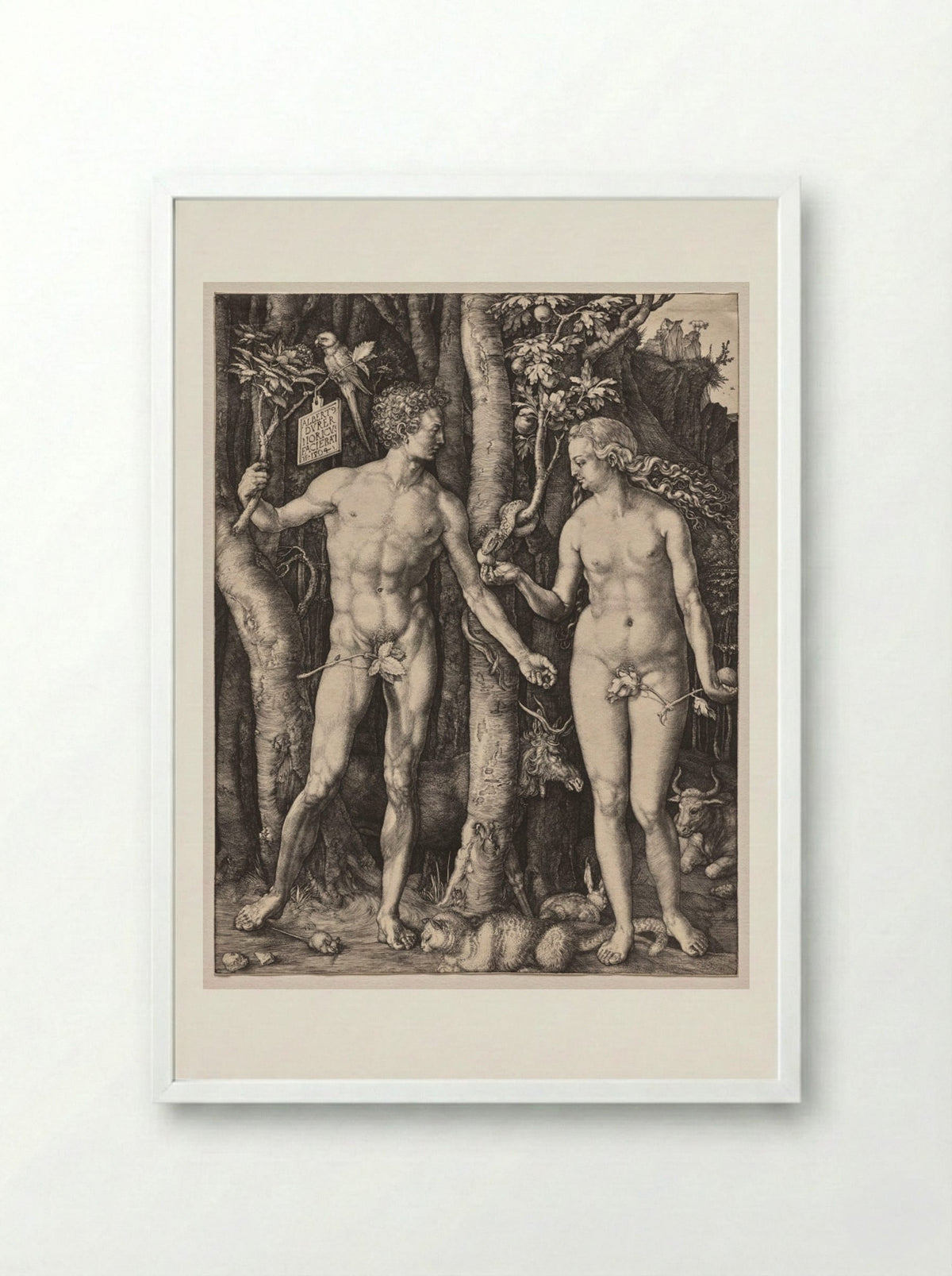 Adam and Eve - Albrecht Dürer - Framed Print White