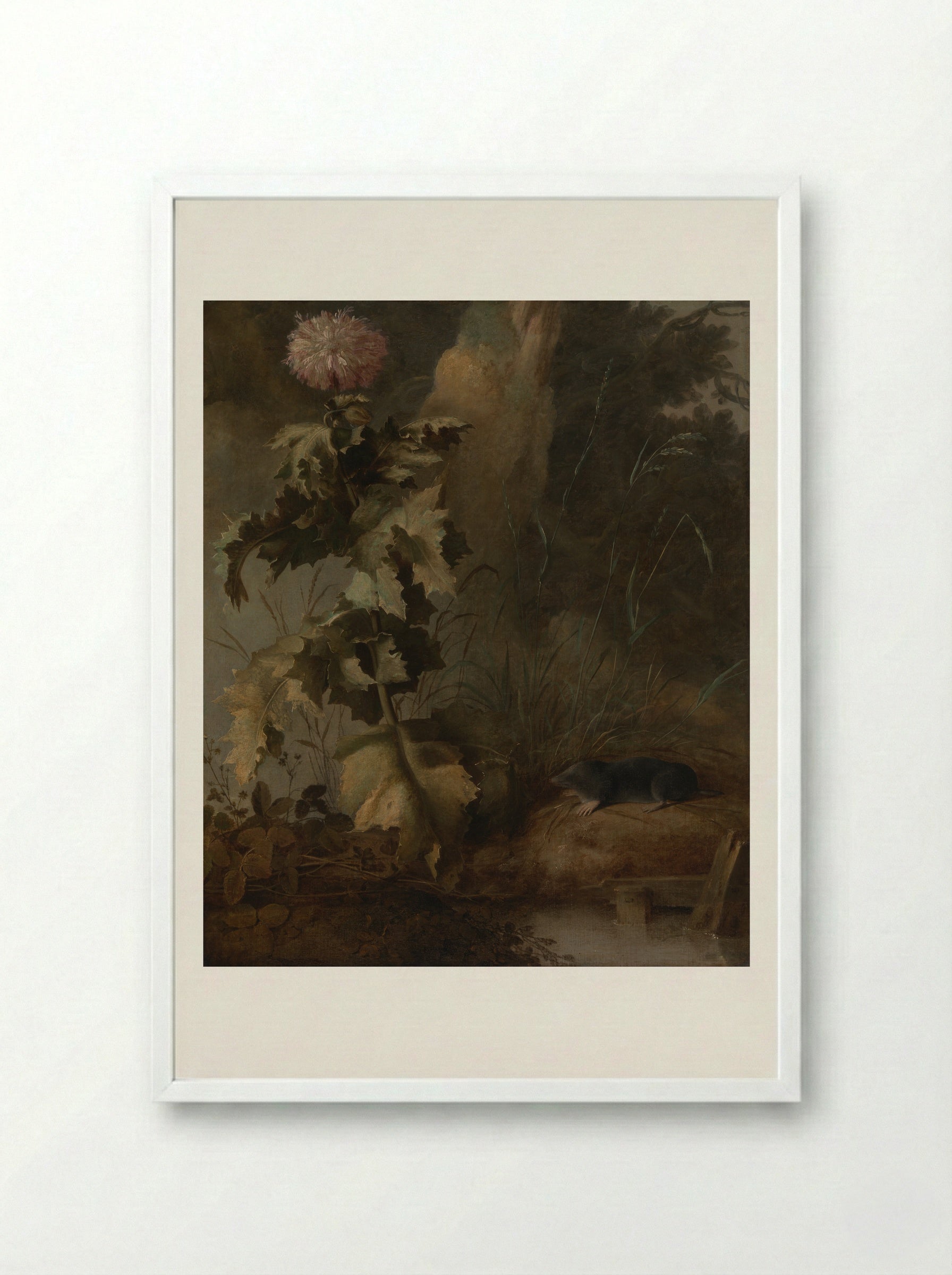An Egyptian Poppy and a Water Mole - John Crome - Framed Print White