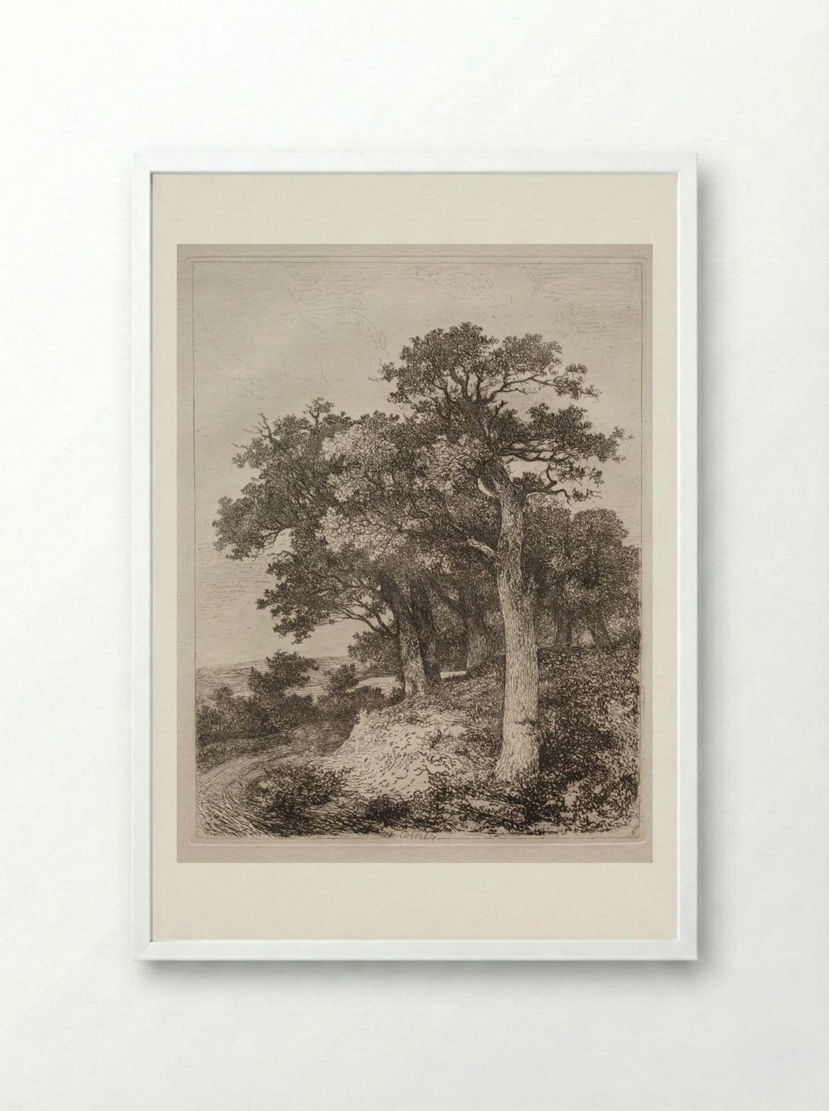 At Colney - John Crome - Framed Print White