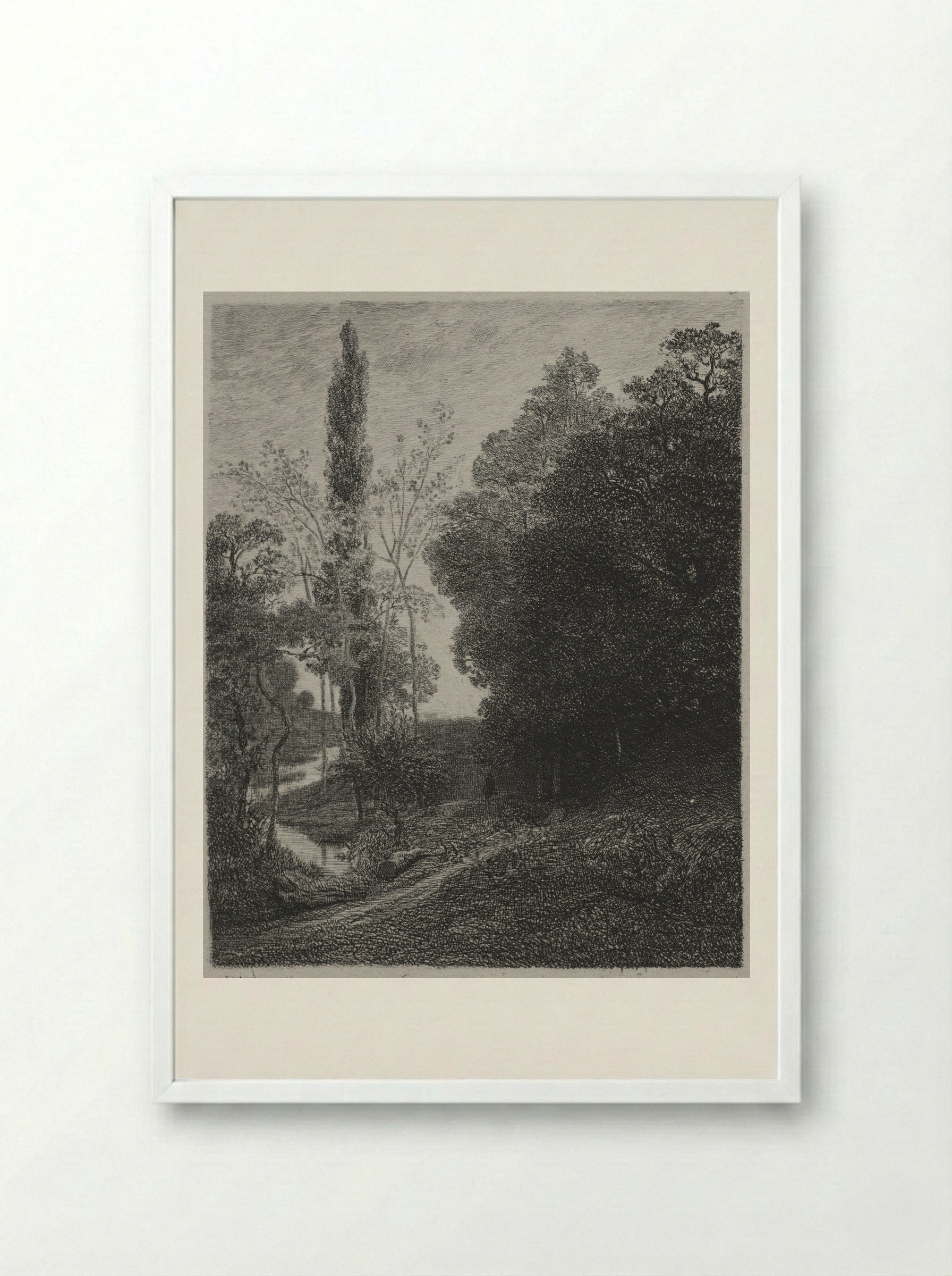 The Banks of the River - Charles-Francois Daubigny - Framed Print White