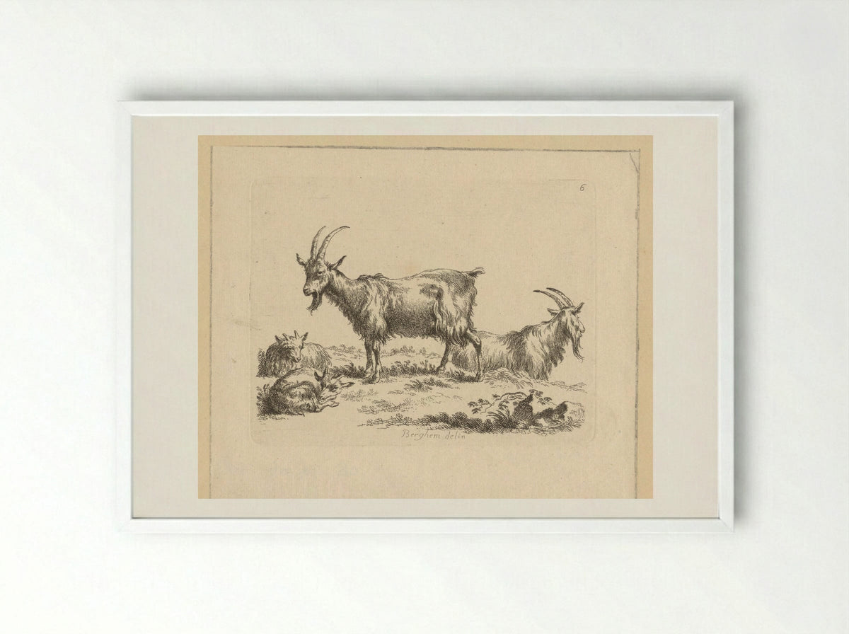 Twee geiten en twee lammeren - François Vivares - Framed Print White
