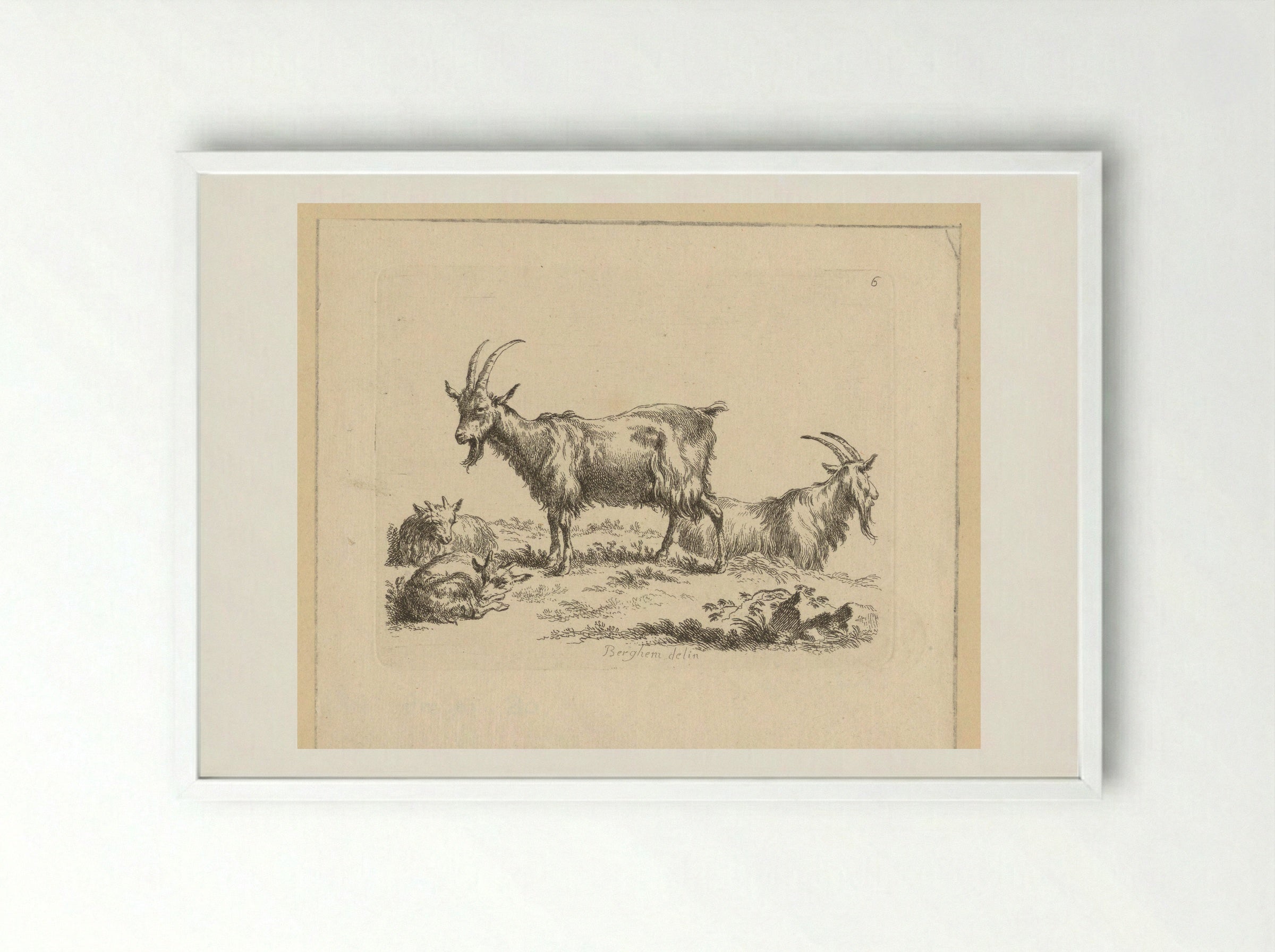 Twee geiten en twee lammeren - François Vivares - Framed Print White
