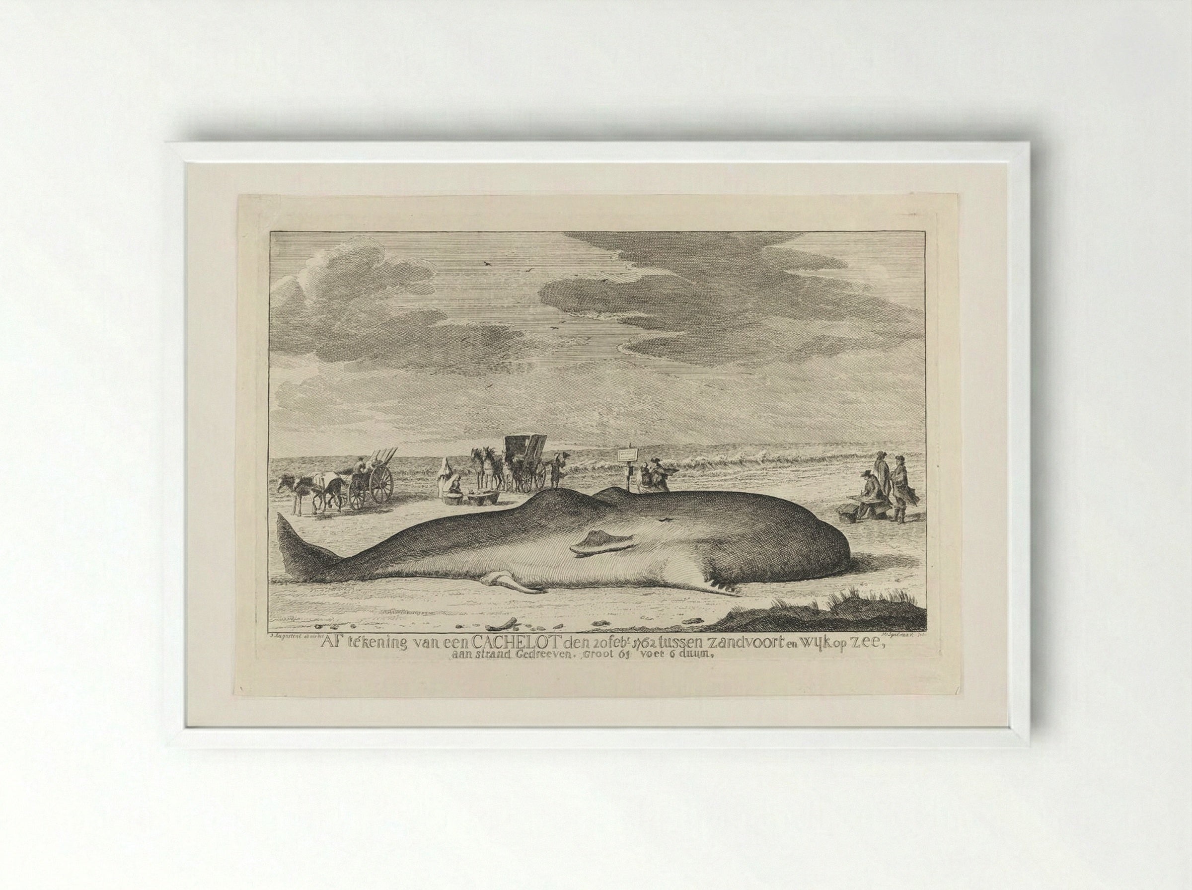 The Whale Stranded between Zandvoort and Wijk Op Zee - Hendrik Spilman - Framed Print White