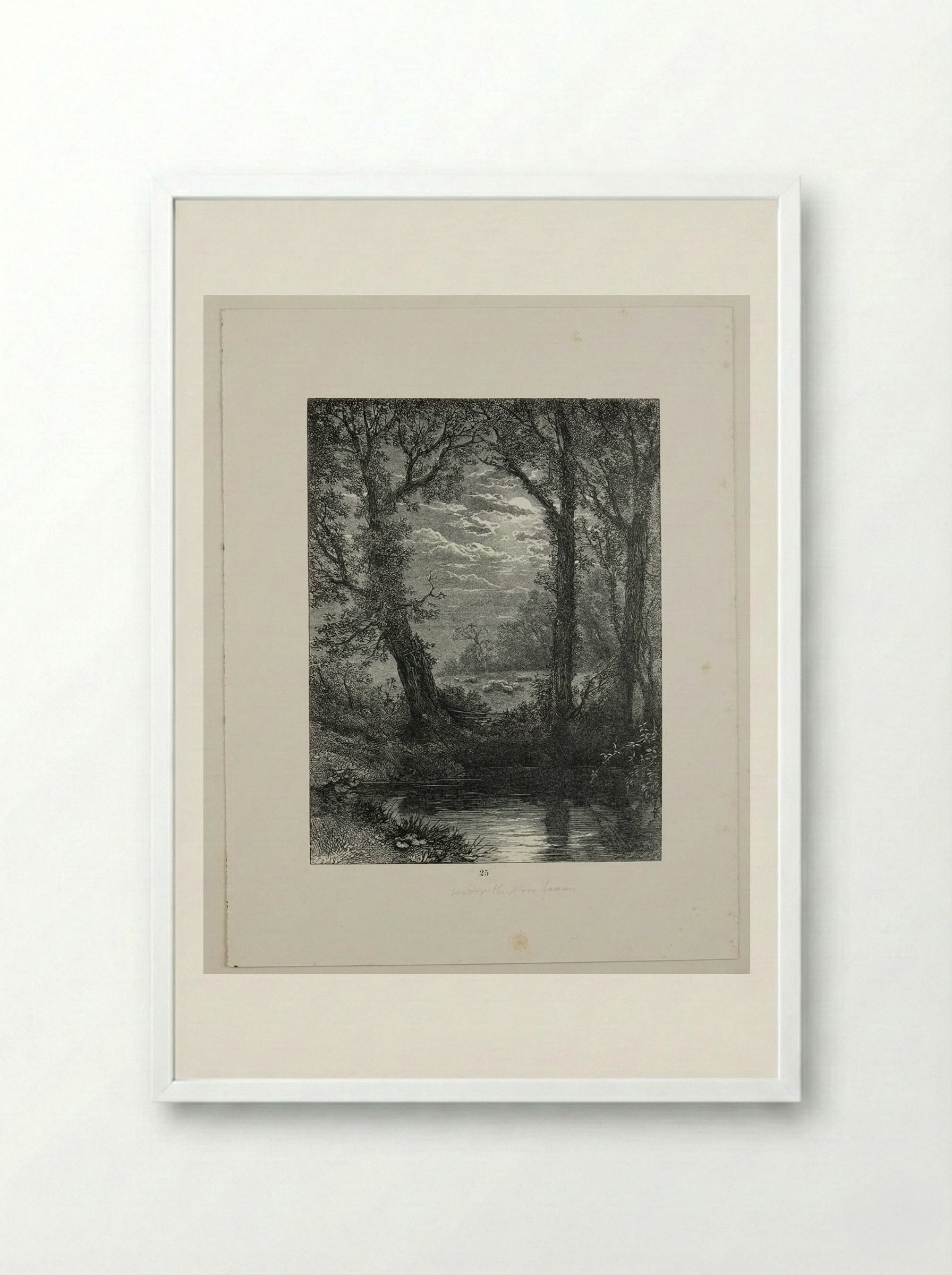 Under the Moonbeams - Edward Dalziel - Framed Print White