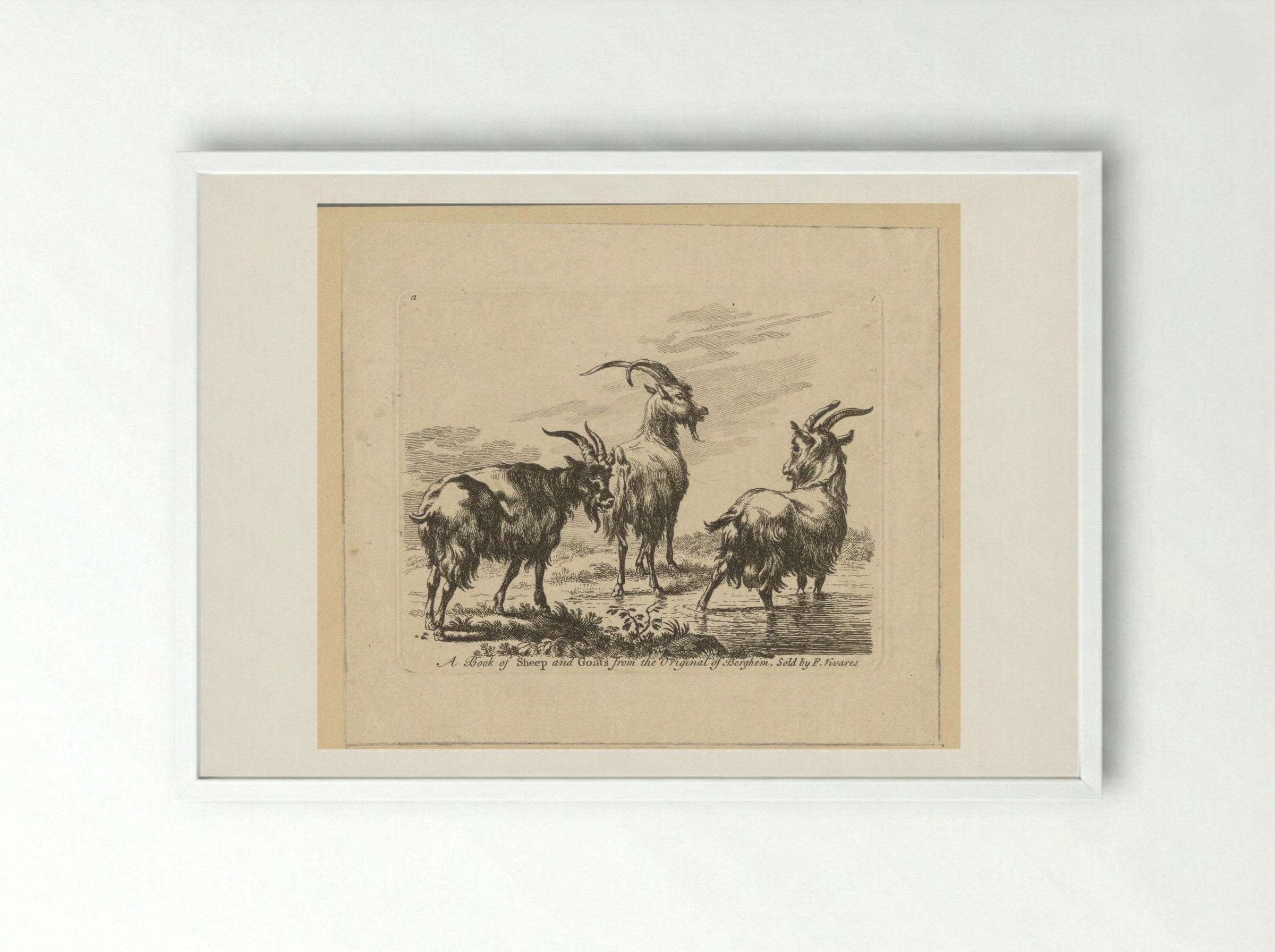 Three Goats by a Stream - François Vivares - Framed Print White